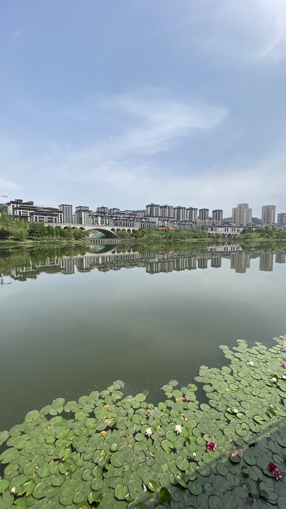 金松湖城市生态公园旅行图片 3