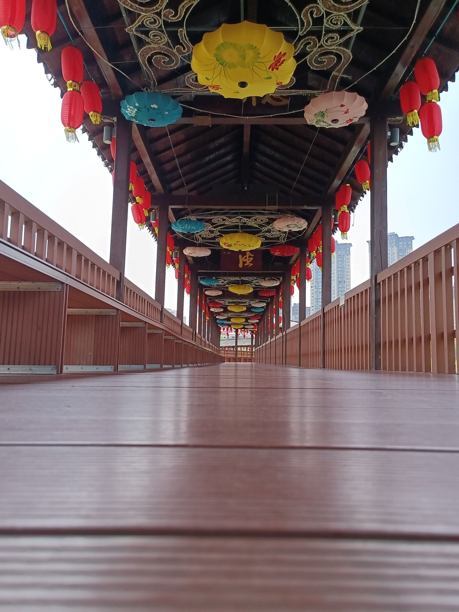 金松湖城市生态公园旅行图片 1