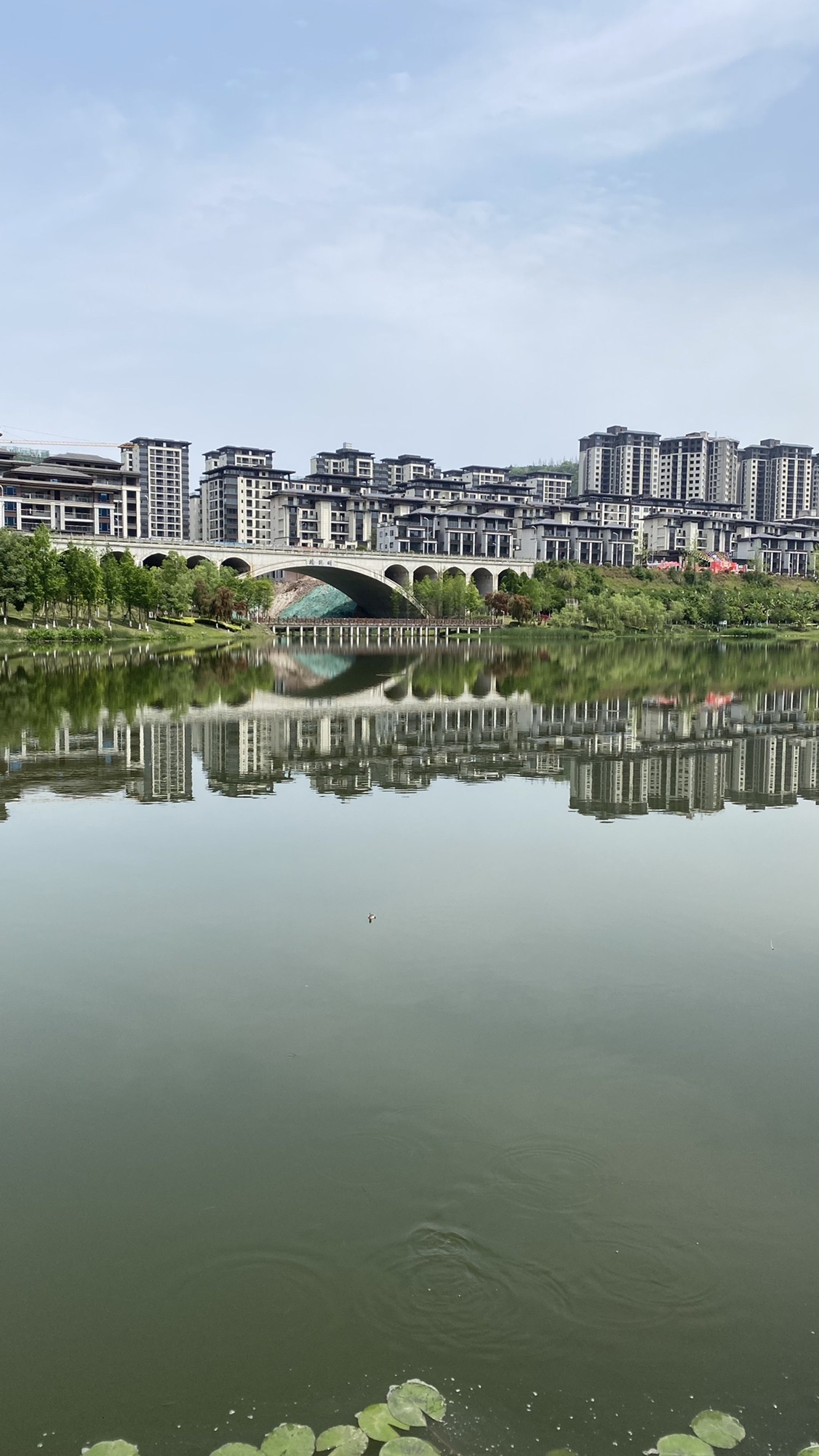 金松湖城市生态公园旅行图片 1