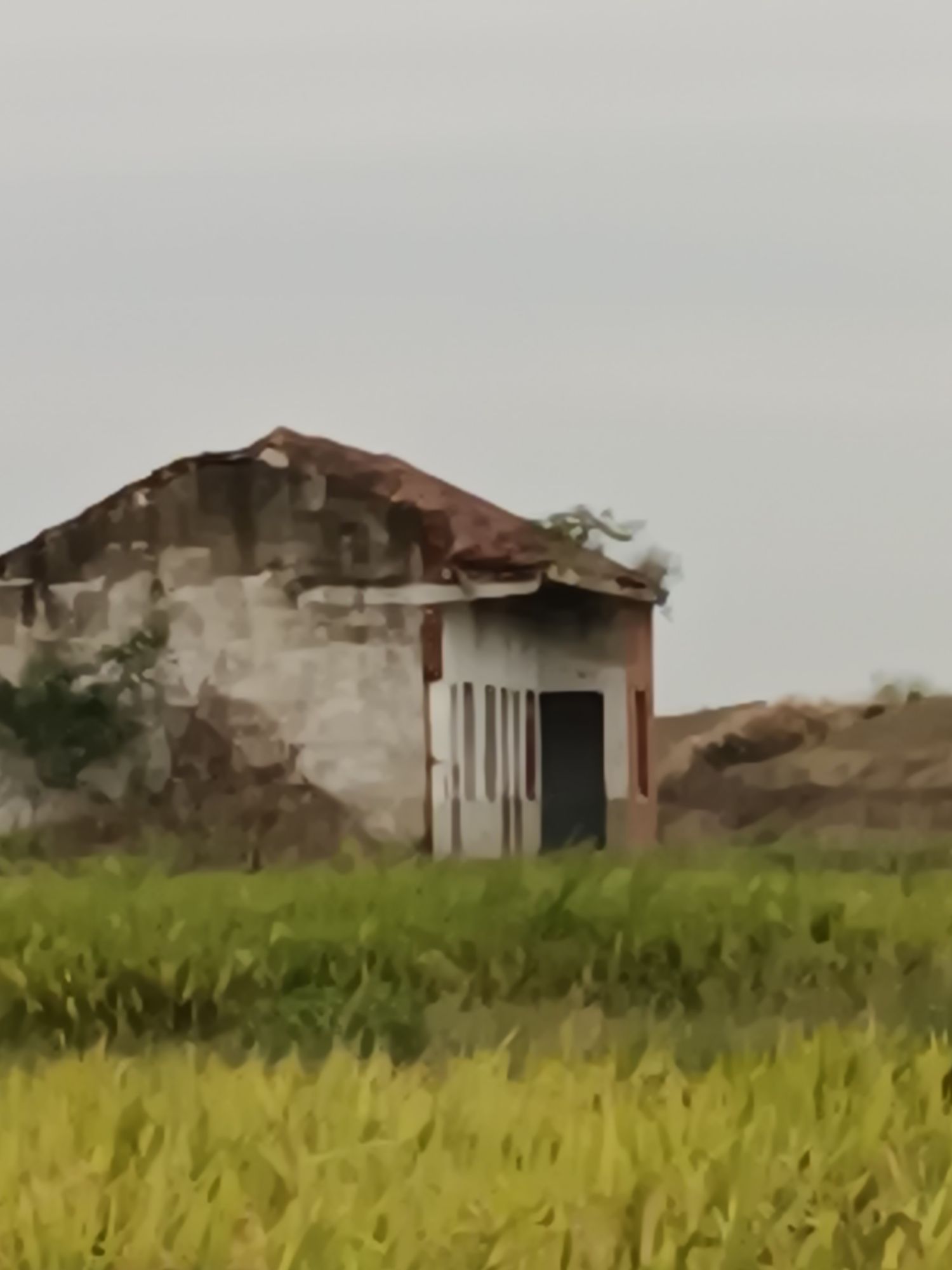地藏庵旅行图片 1
