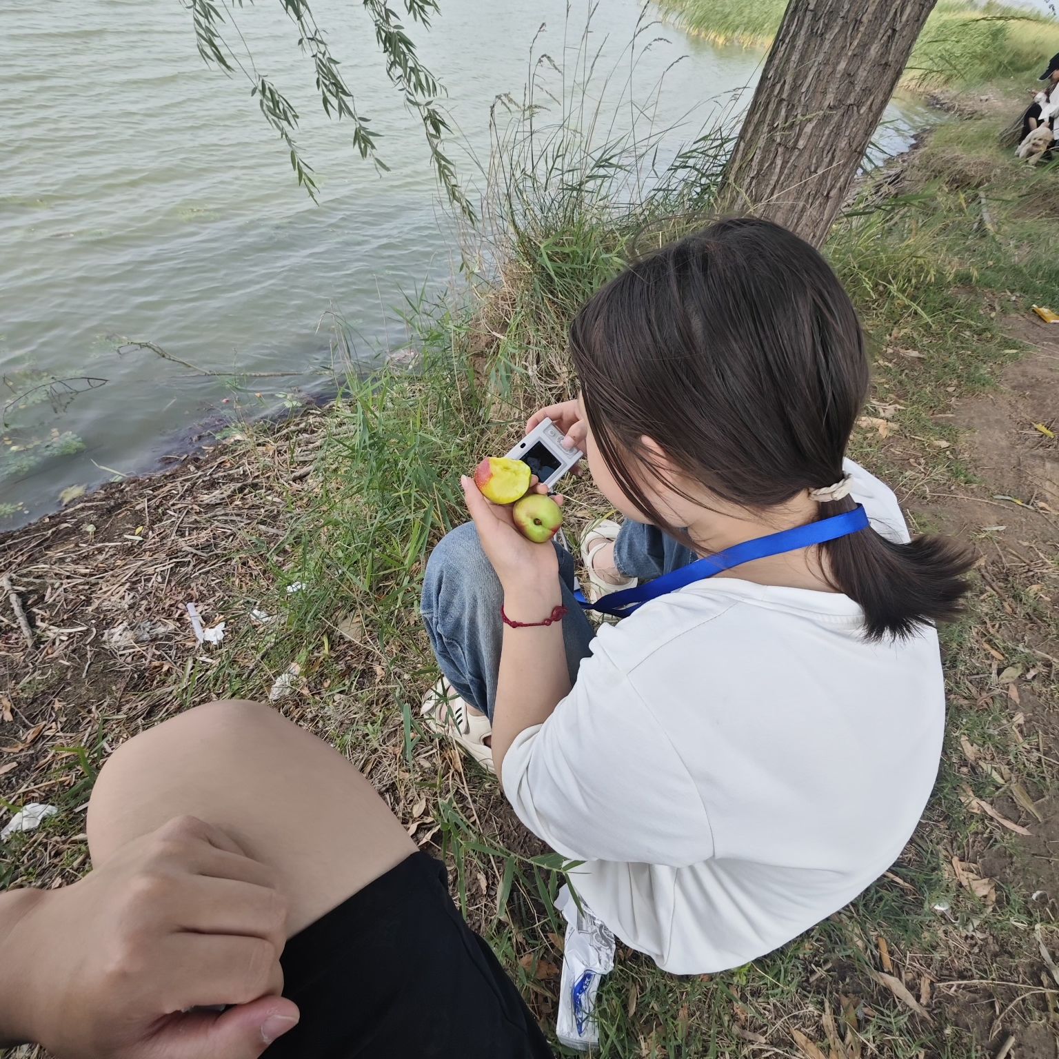 民权县湿地公园旅行图片 2
