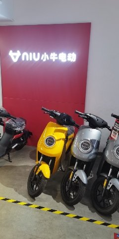 小牛电动(世纪大道店)