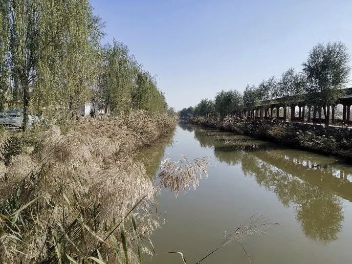 民权县湿地公园旅行图片 3