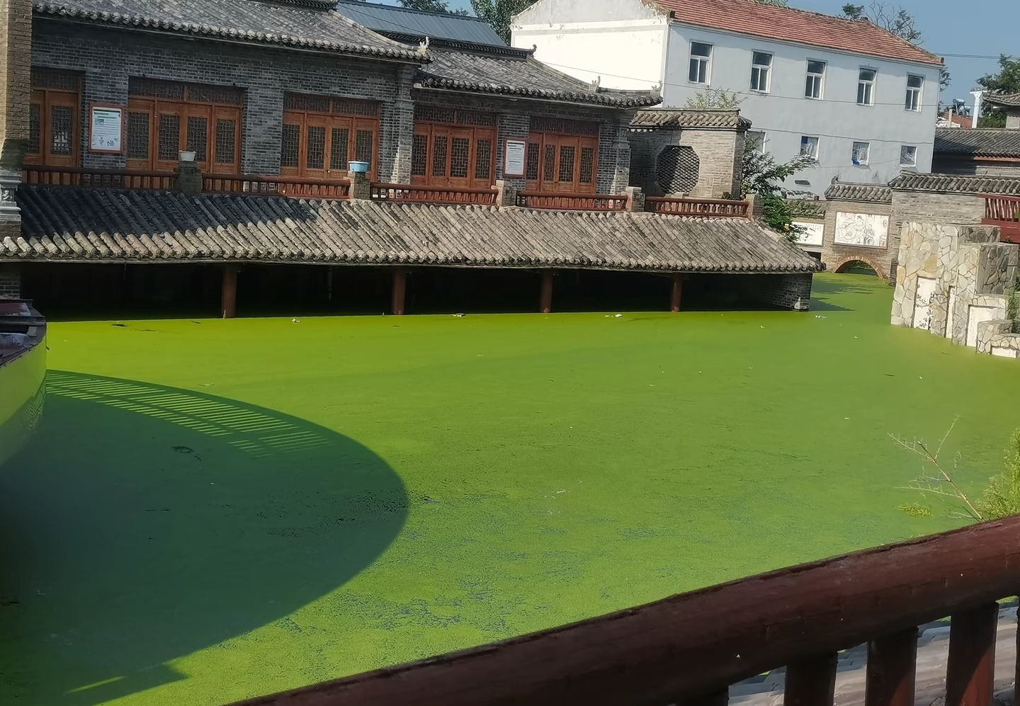 民权县湿地公园旅行图片 1