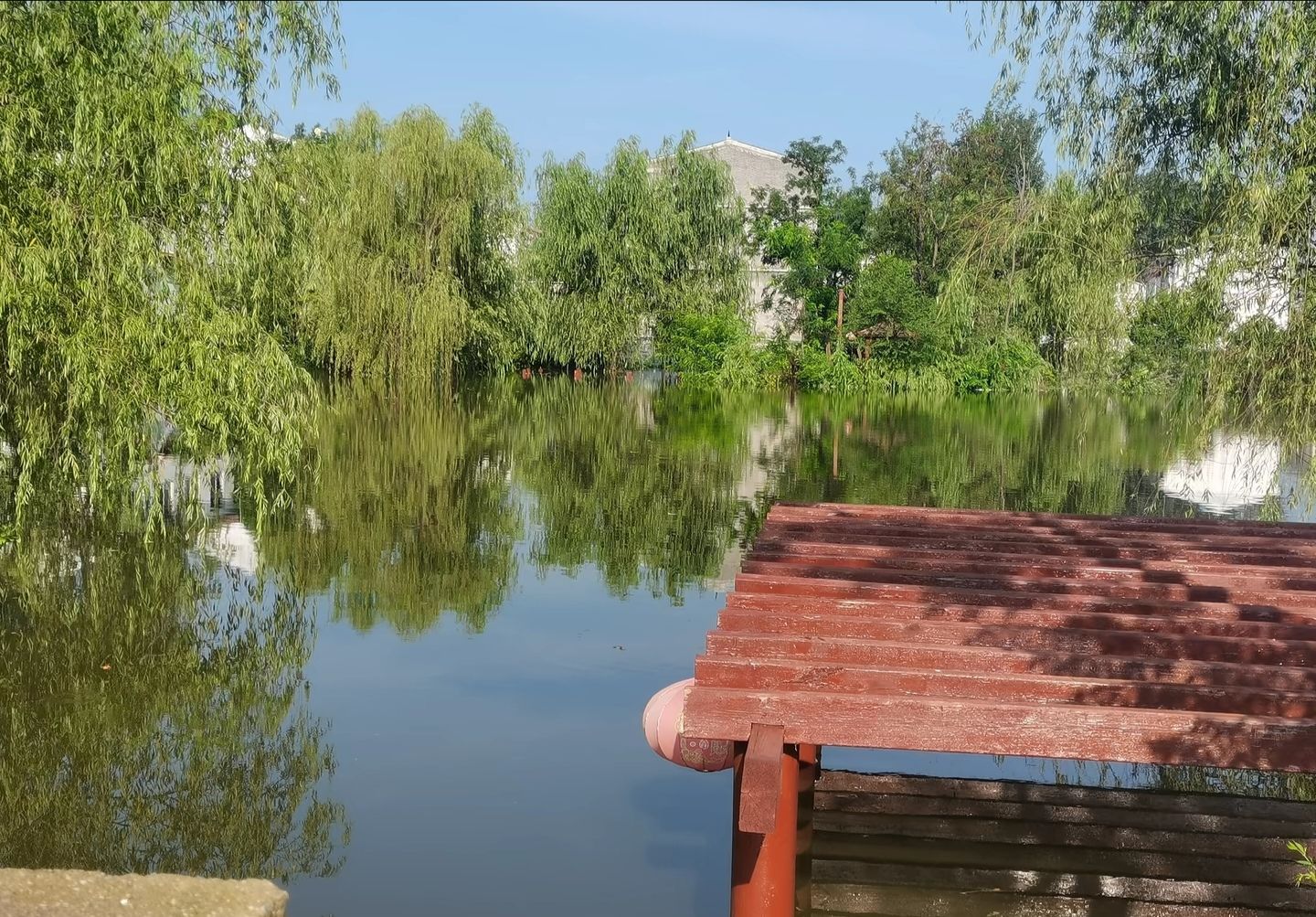 民权县湿地公园旅行图片 3