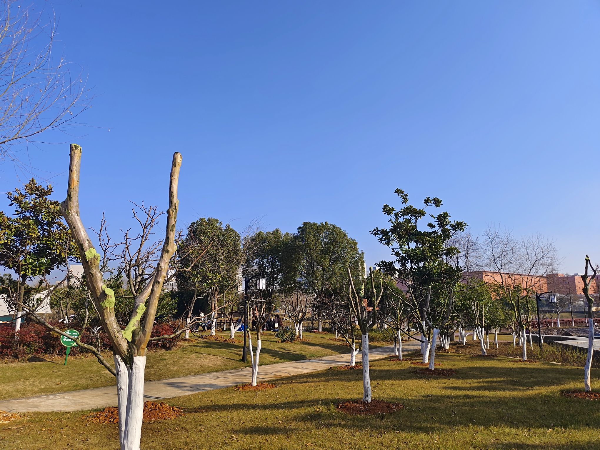 兰亭公园旅行图片 3