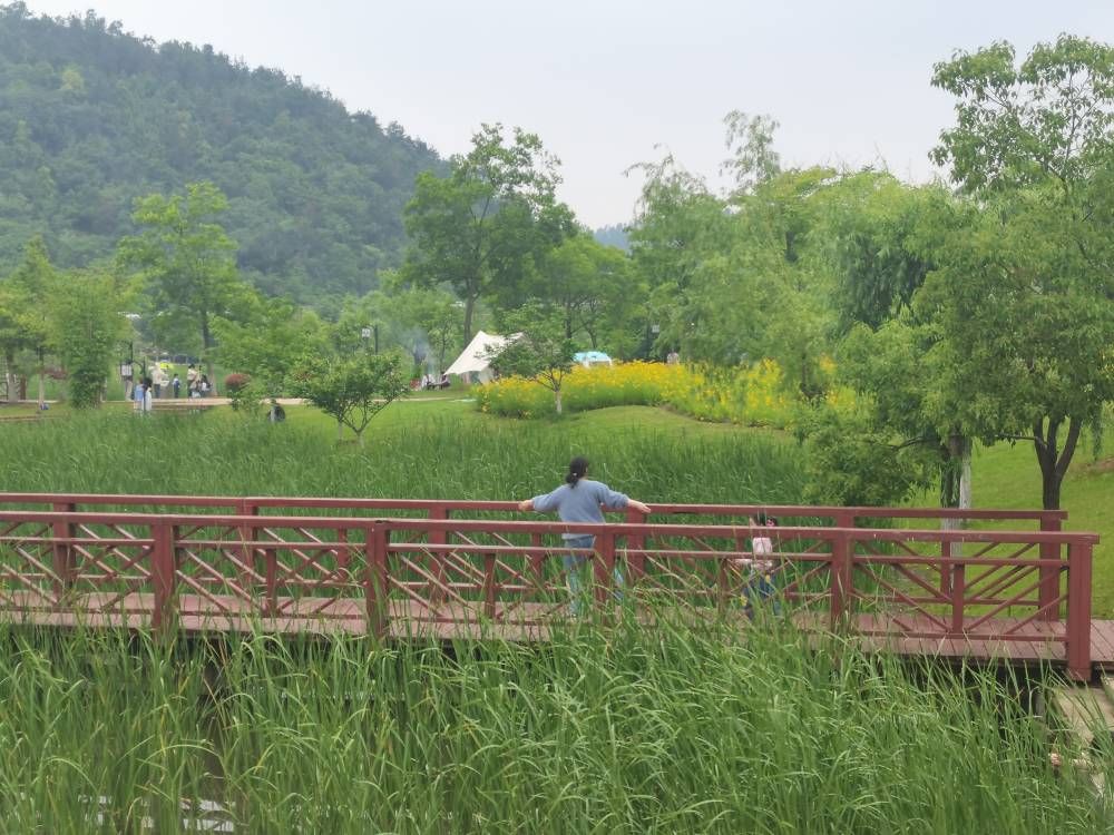 兰亭公园旅行图片 2