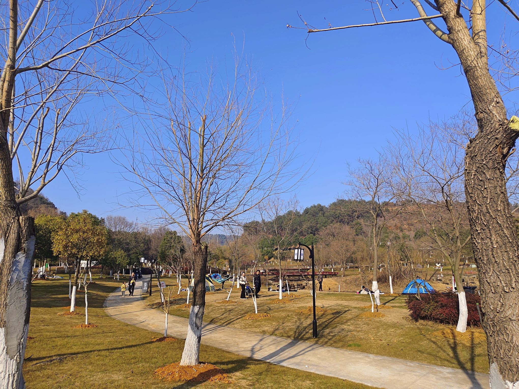 兰亭公园旅行图片 2
