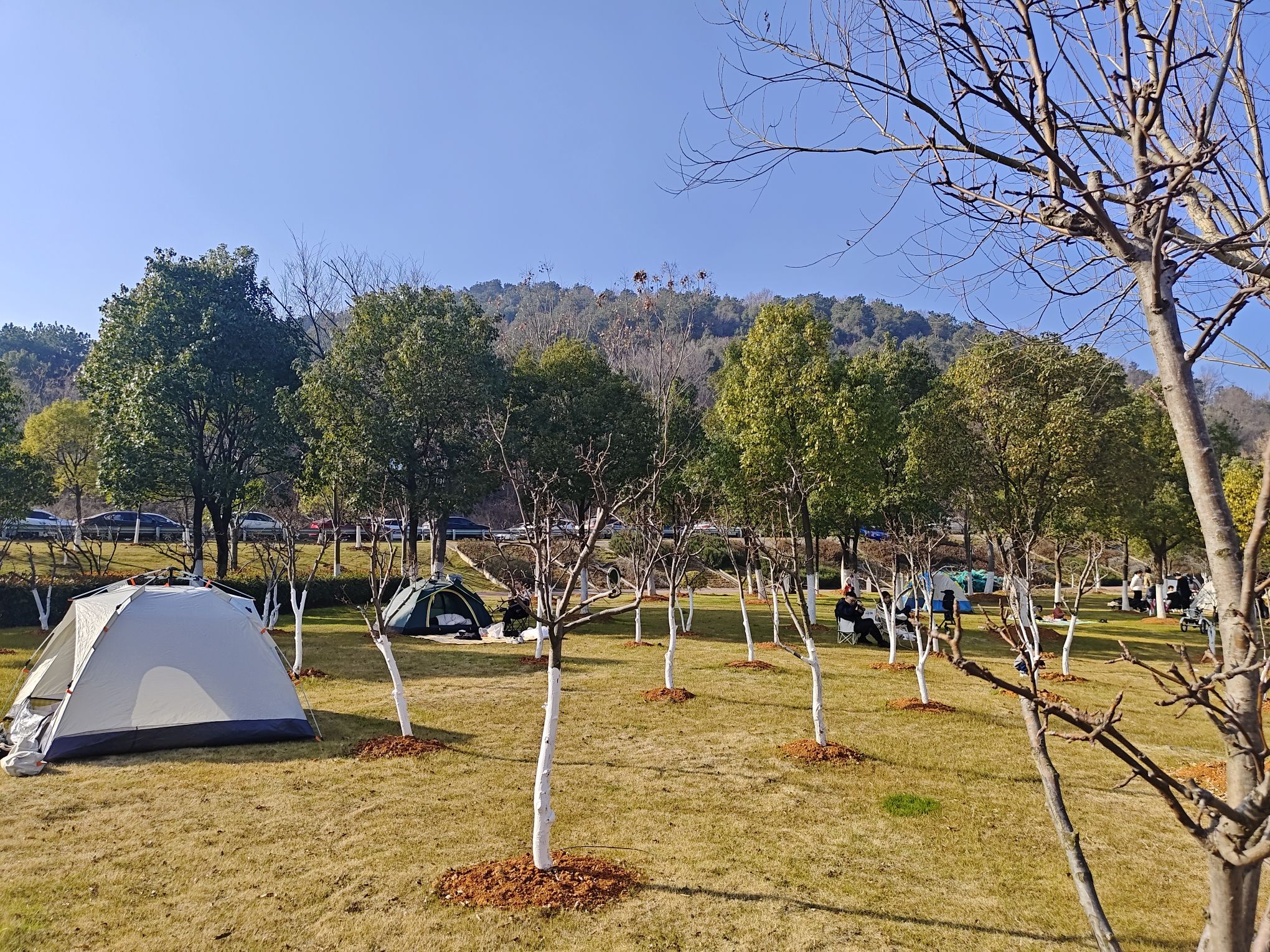 兰亭公园旅行图片 1