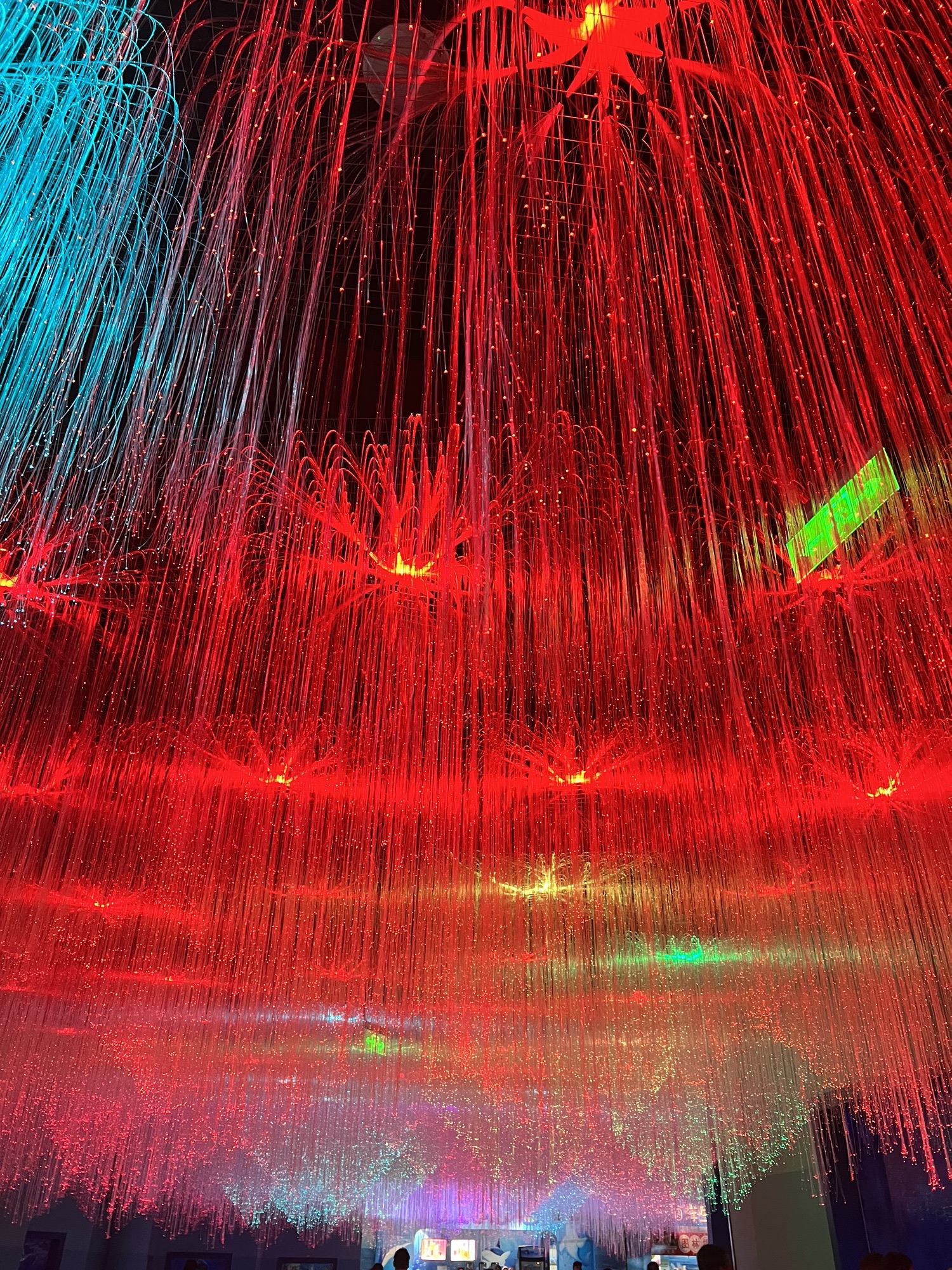 寿光极地海洋世界旅行图片 1