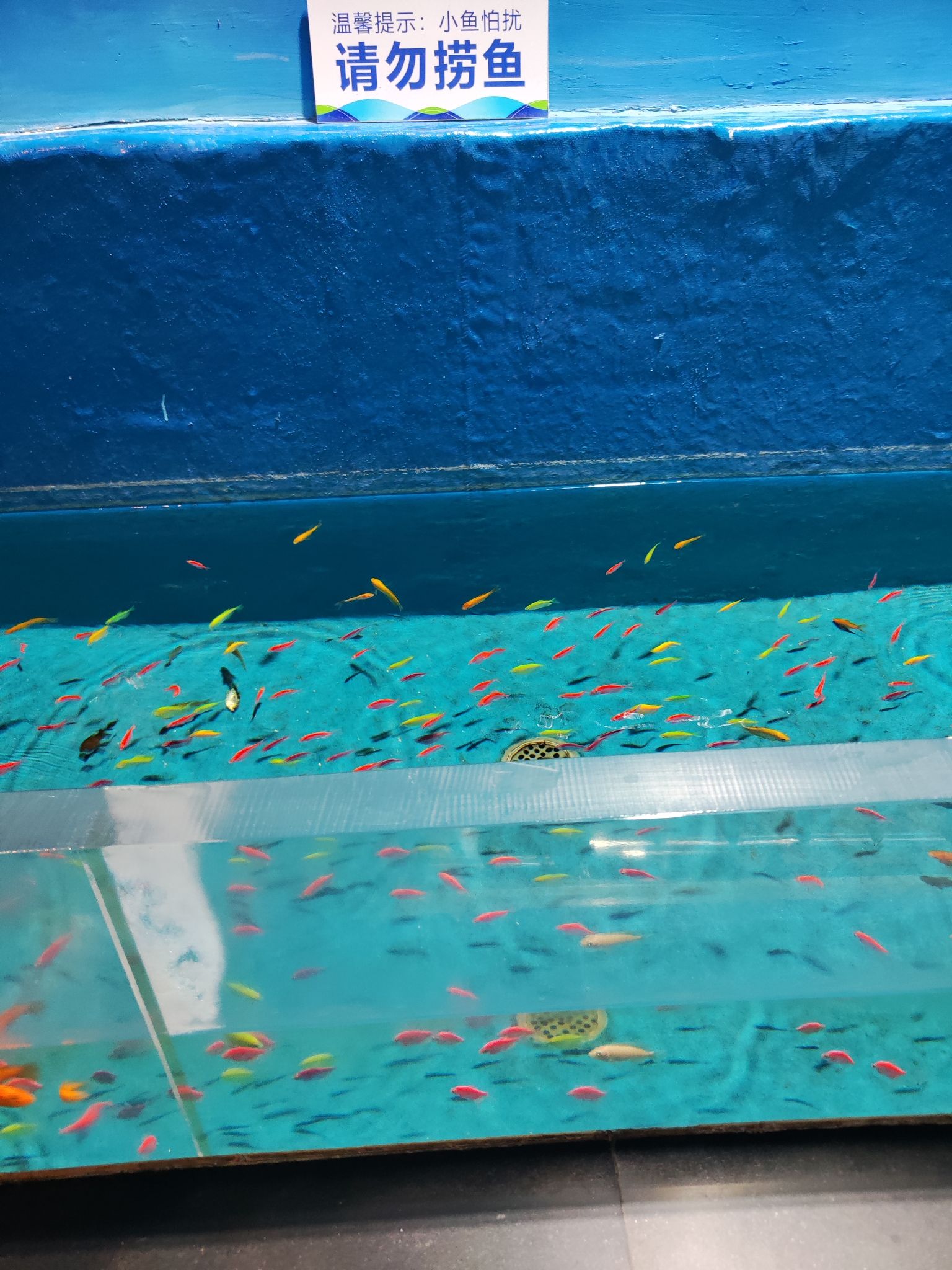 寿光极地海洋世界旅行图片 2