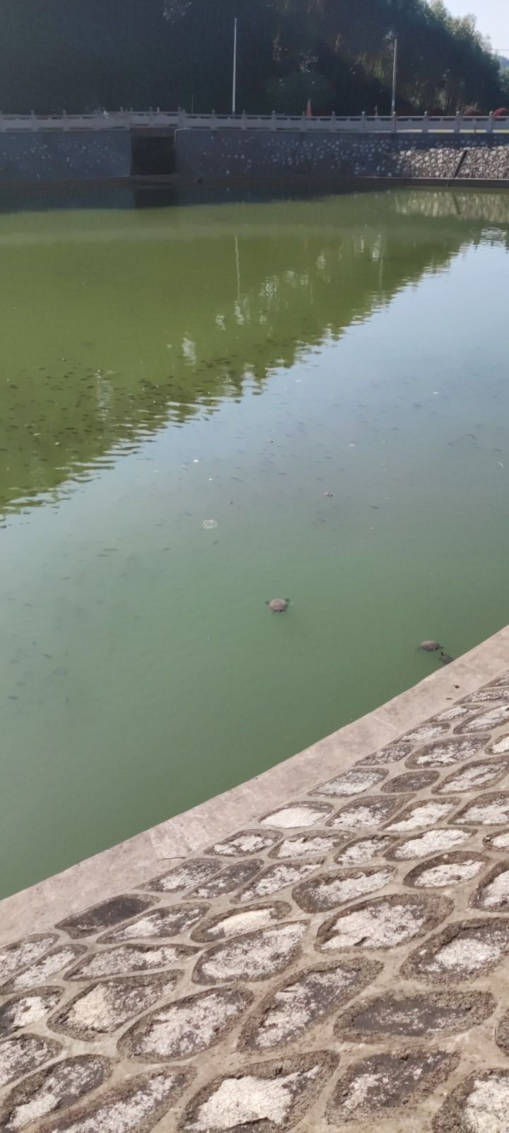五龙宫旅行图片 2