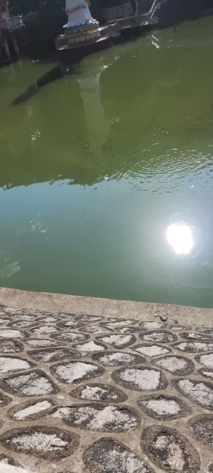 五龙宫旅行图片 1