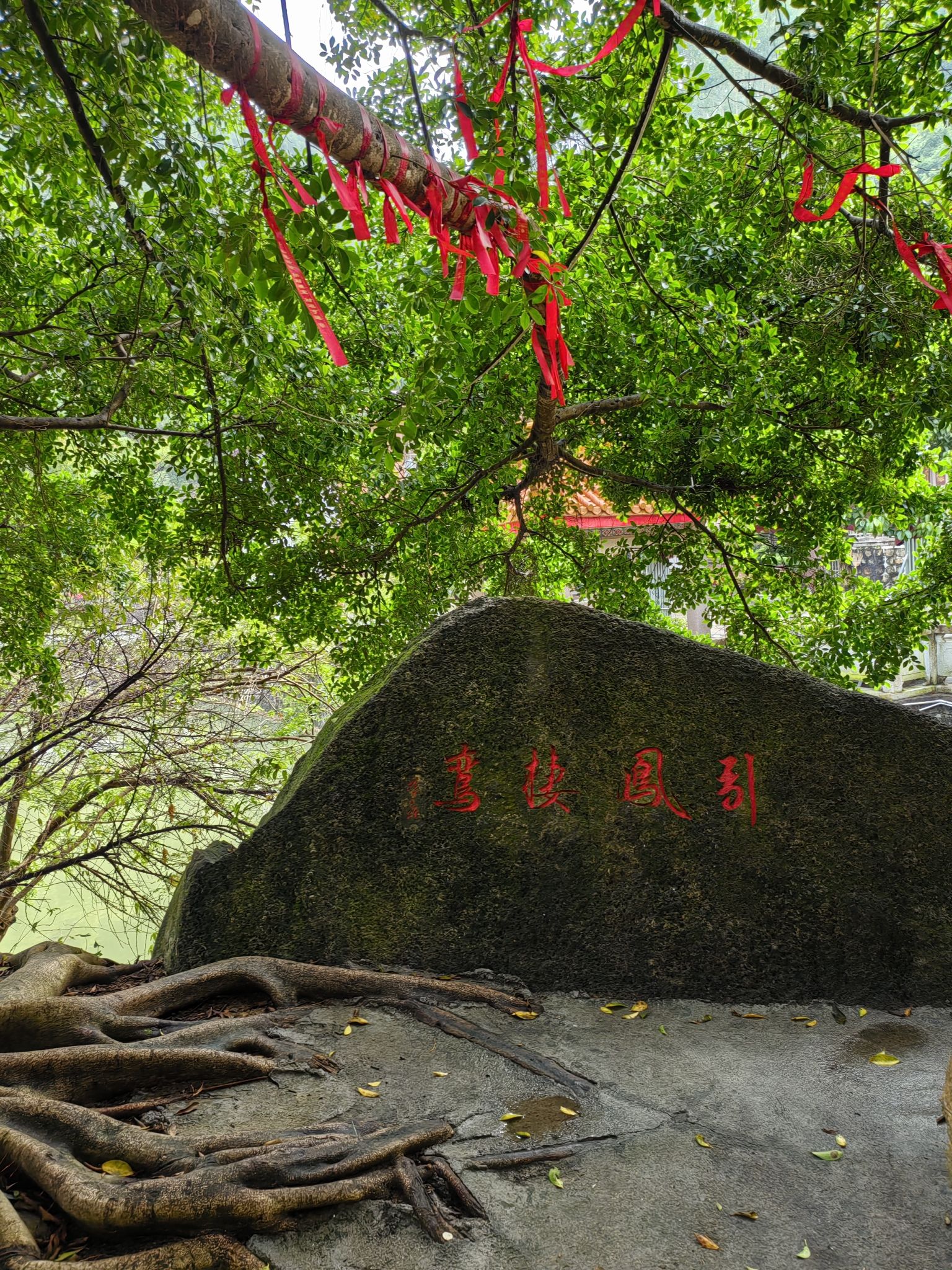 五龙宫旅行图片 3