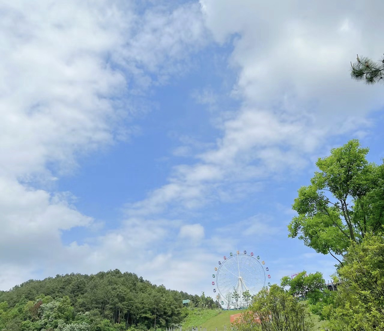 莲花山公园旅行图片 2