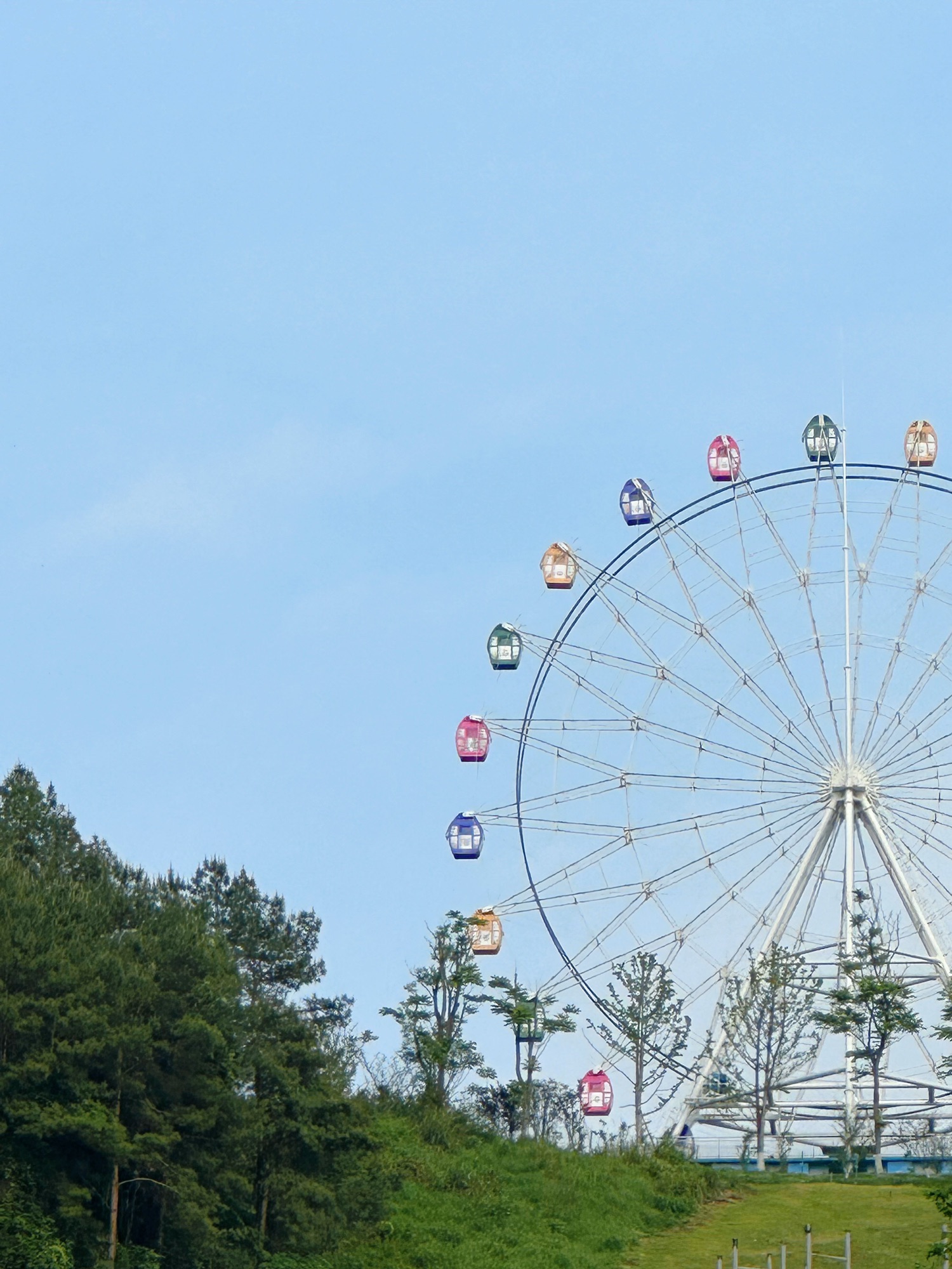 莲花山公园旅行图片 3