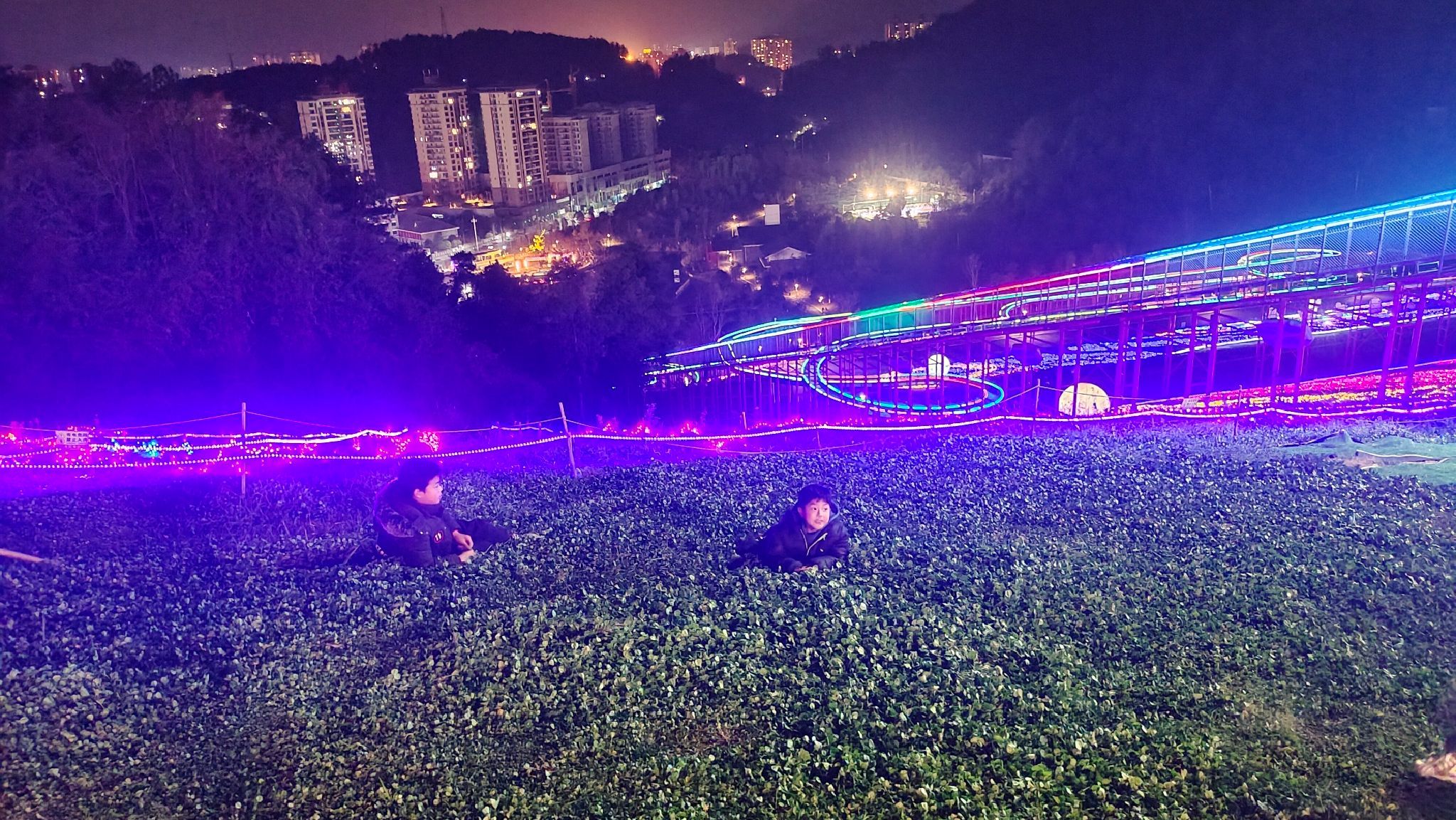莲花山公园旅行图片 1