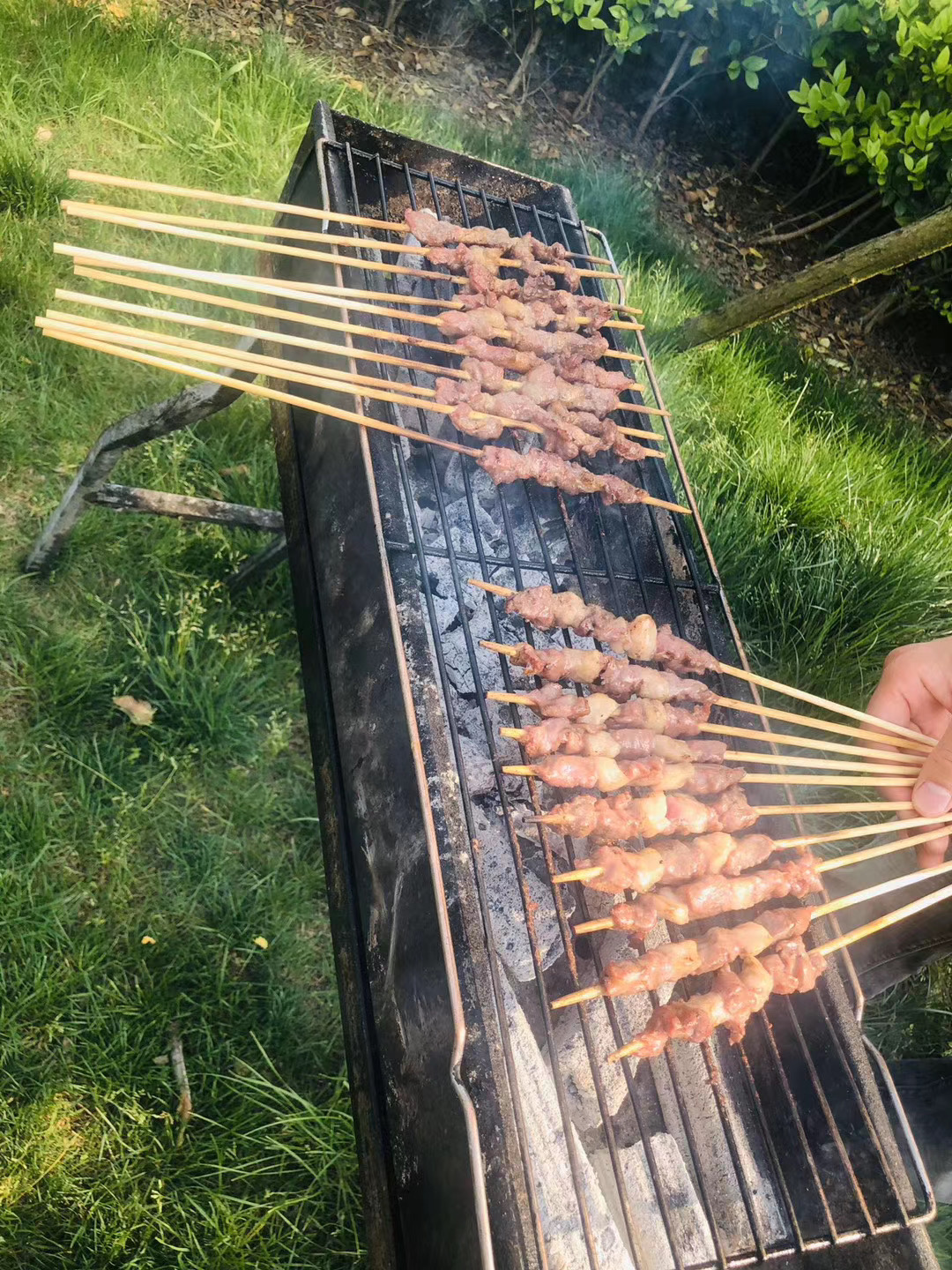 开沙岛旅行图片 3