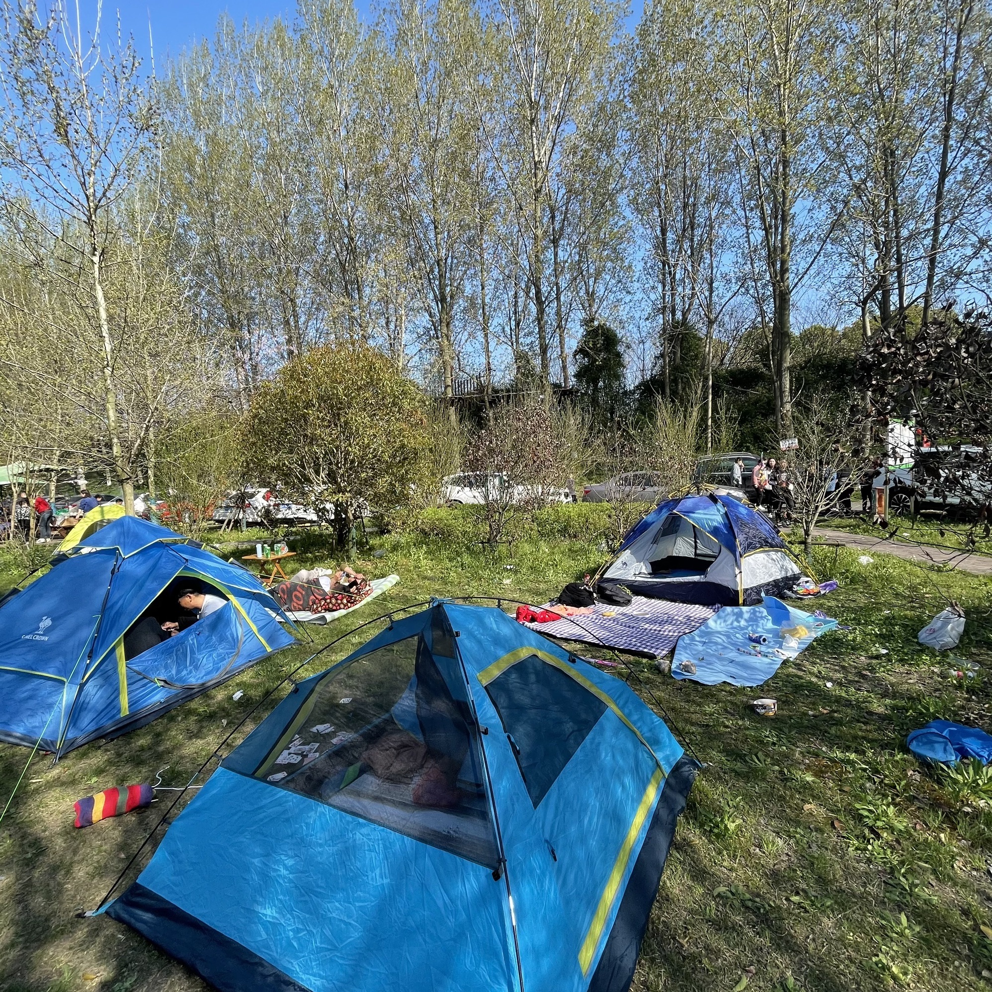 开沙岛旅行图片 1
