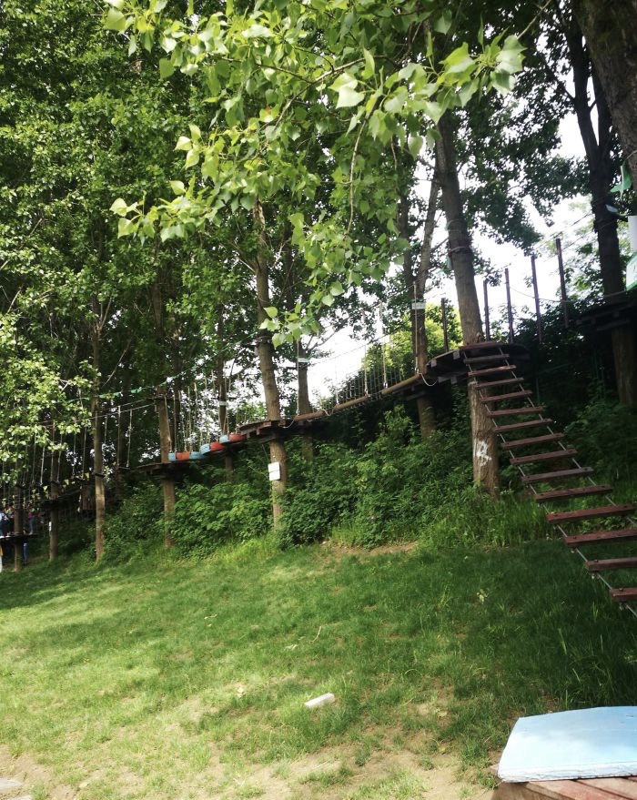 开沙岛旅行图片 3