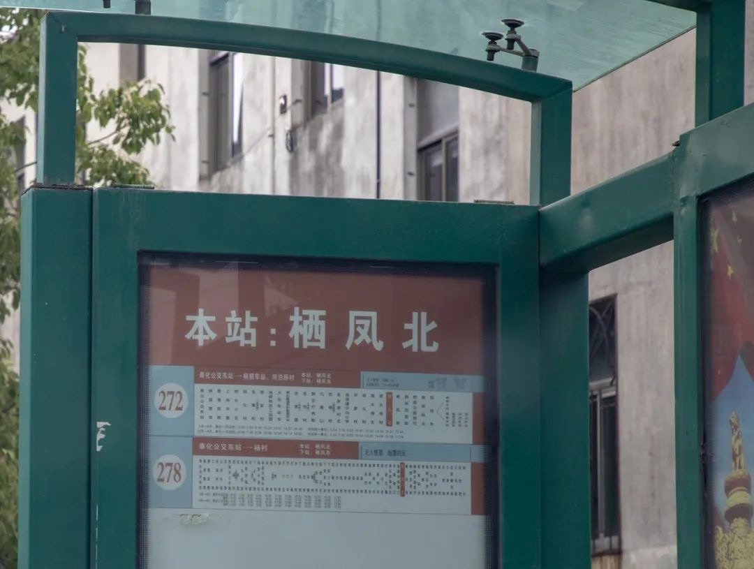栖凤村景区旅行图片 1