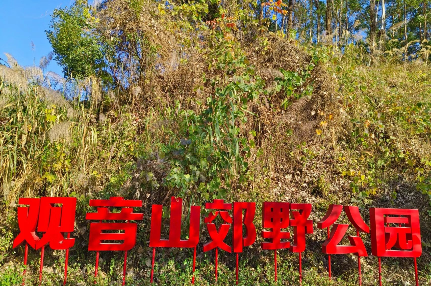 观音山公园旅行图片 1
