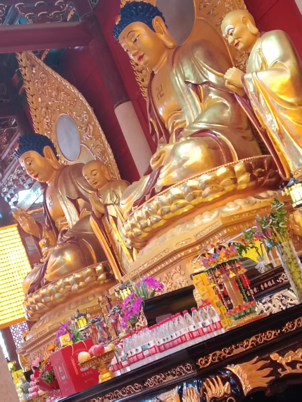 观音山公园旅行图片 1