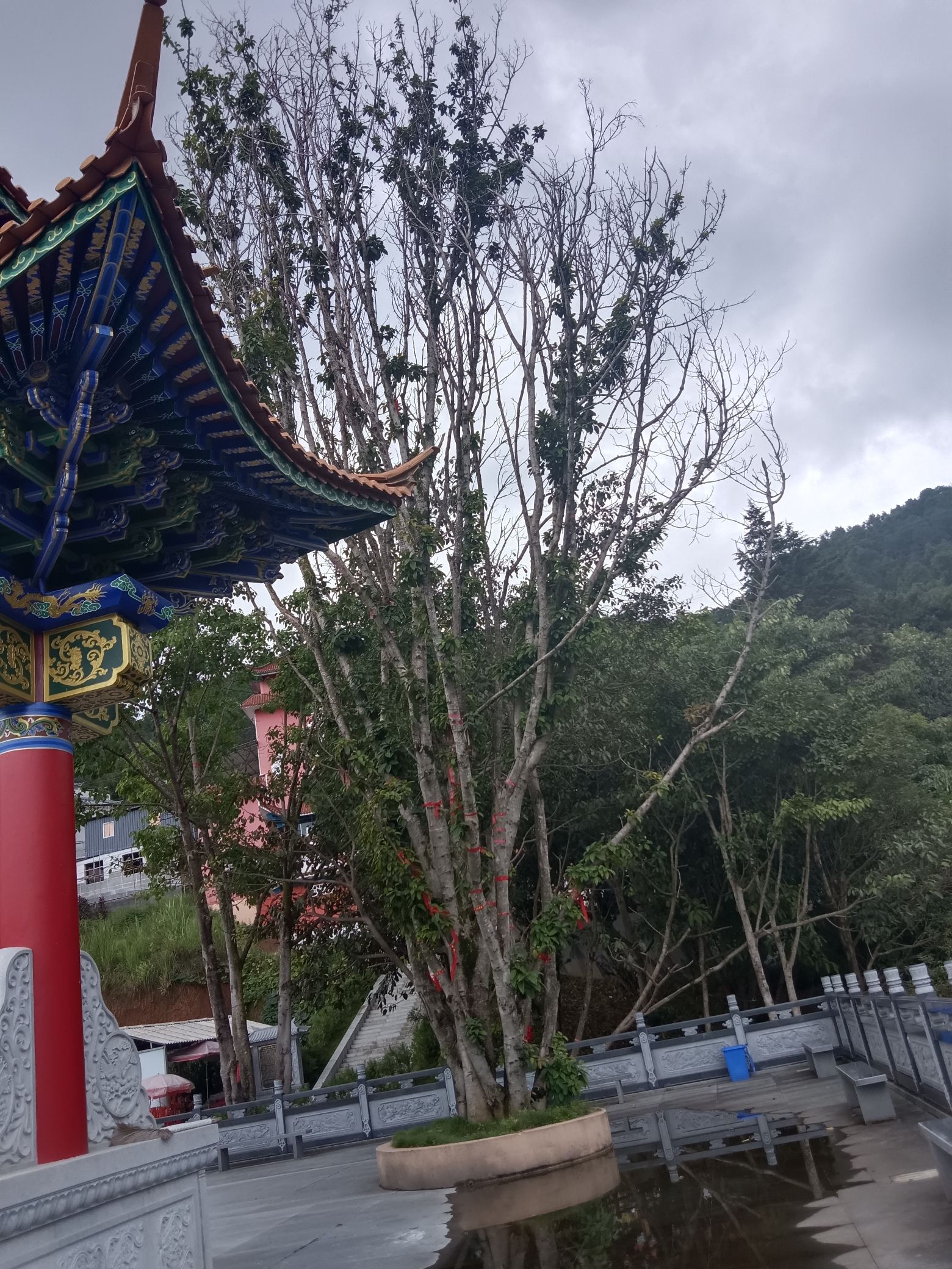灵山寺
