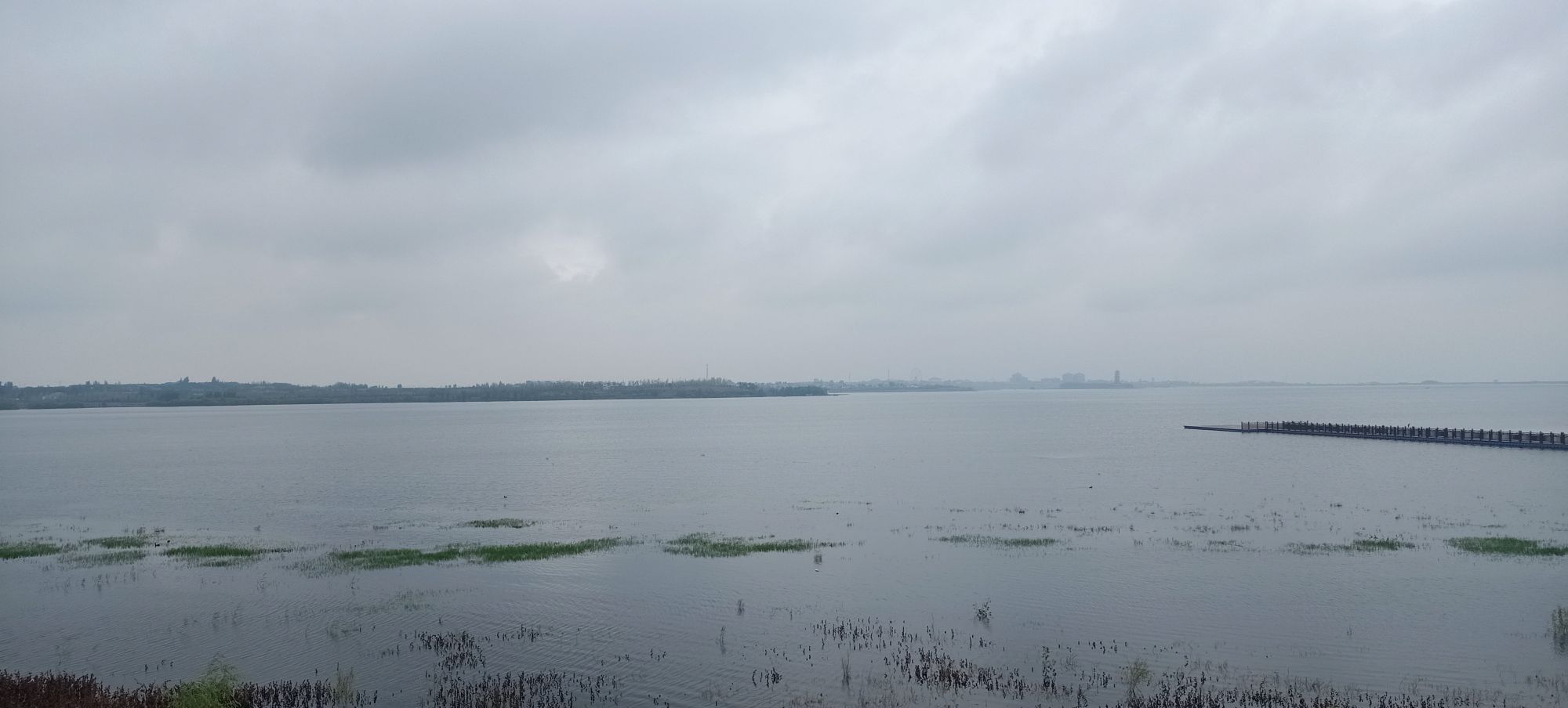 溢泉湖度假村植物园旅行图片 1