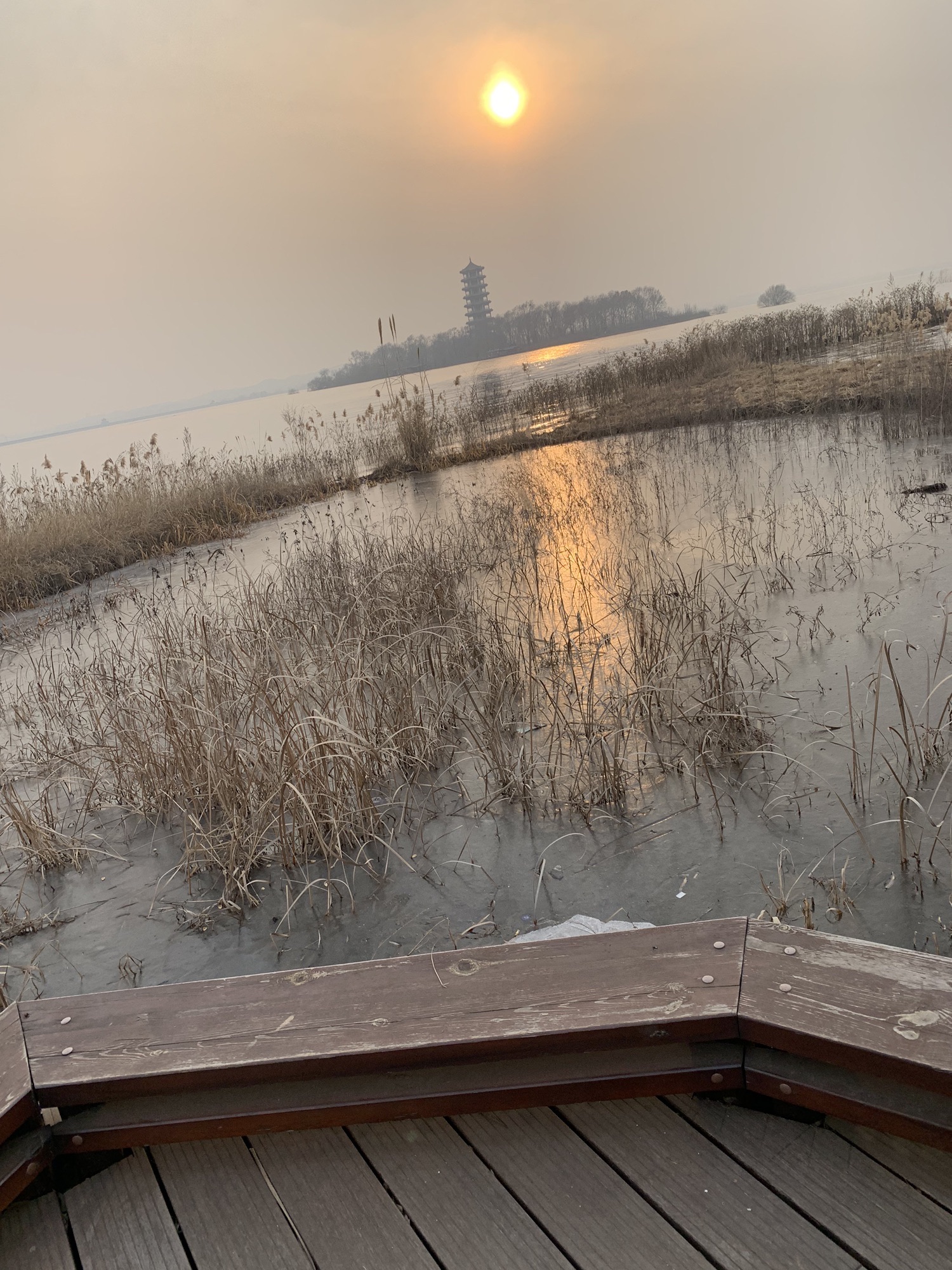 溢泉湖度假村植物园旅行图片 2