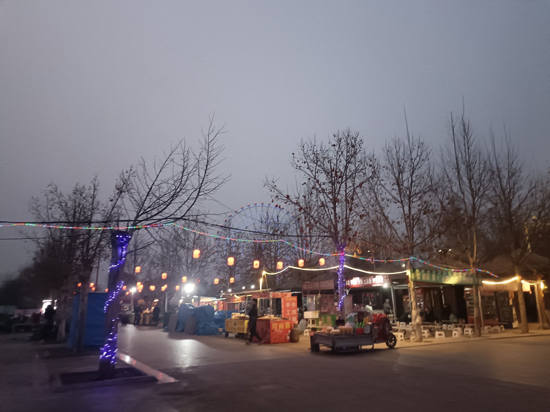 溢泉湖度假村植物园旅行图片 1