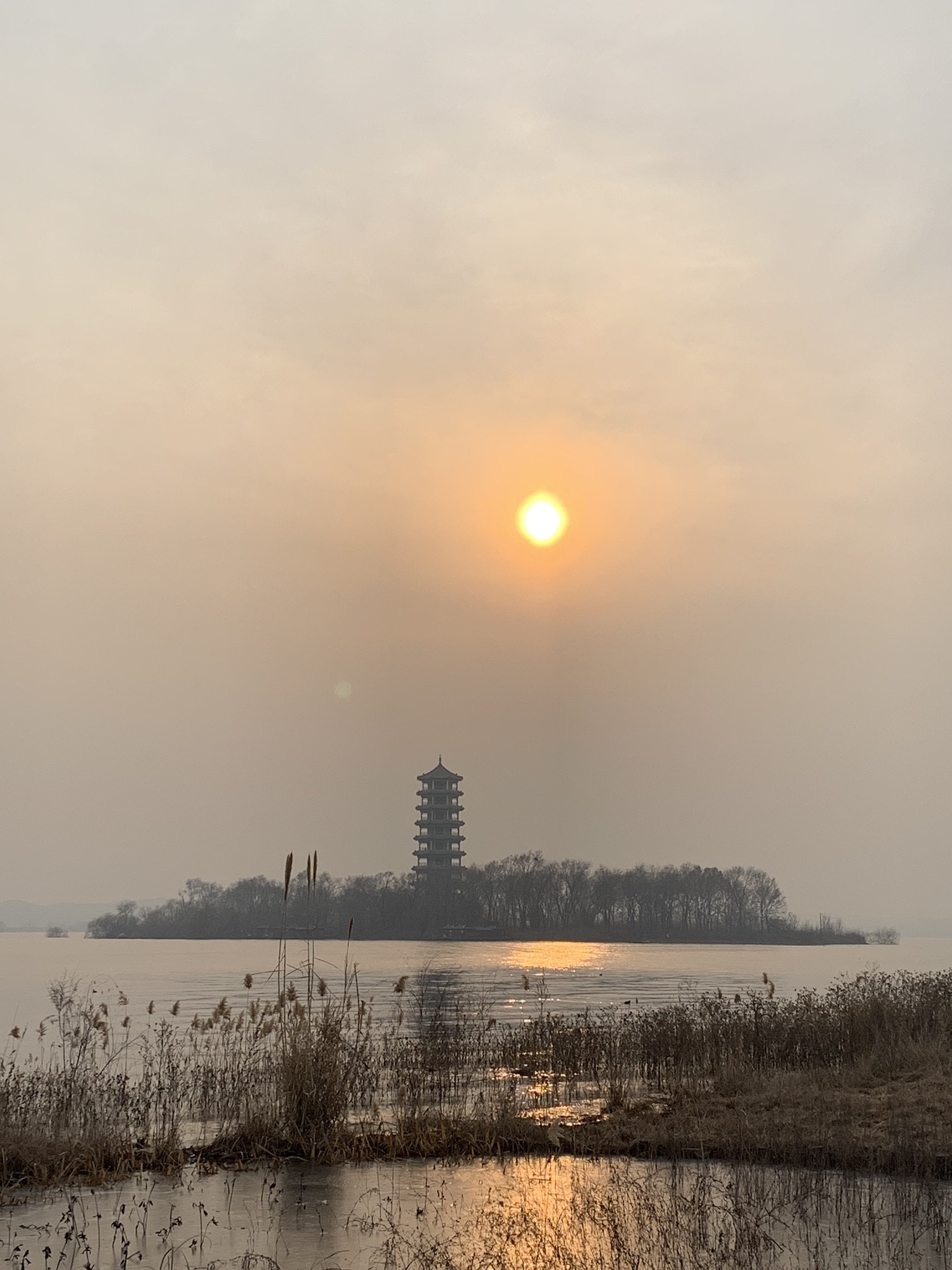 溢泉湖度假村植物园旅行图片 3