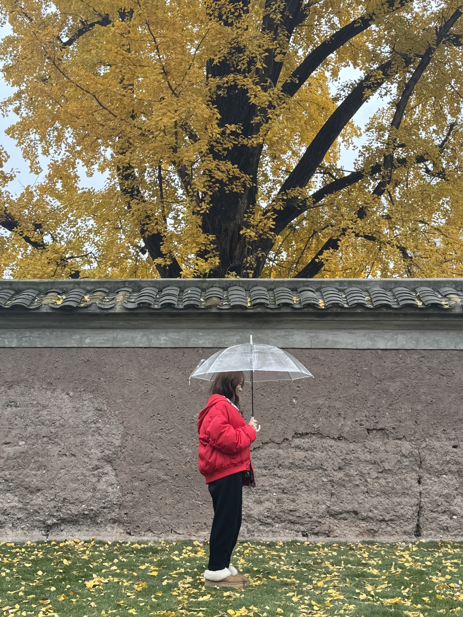 举人楼旅行图片 2