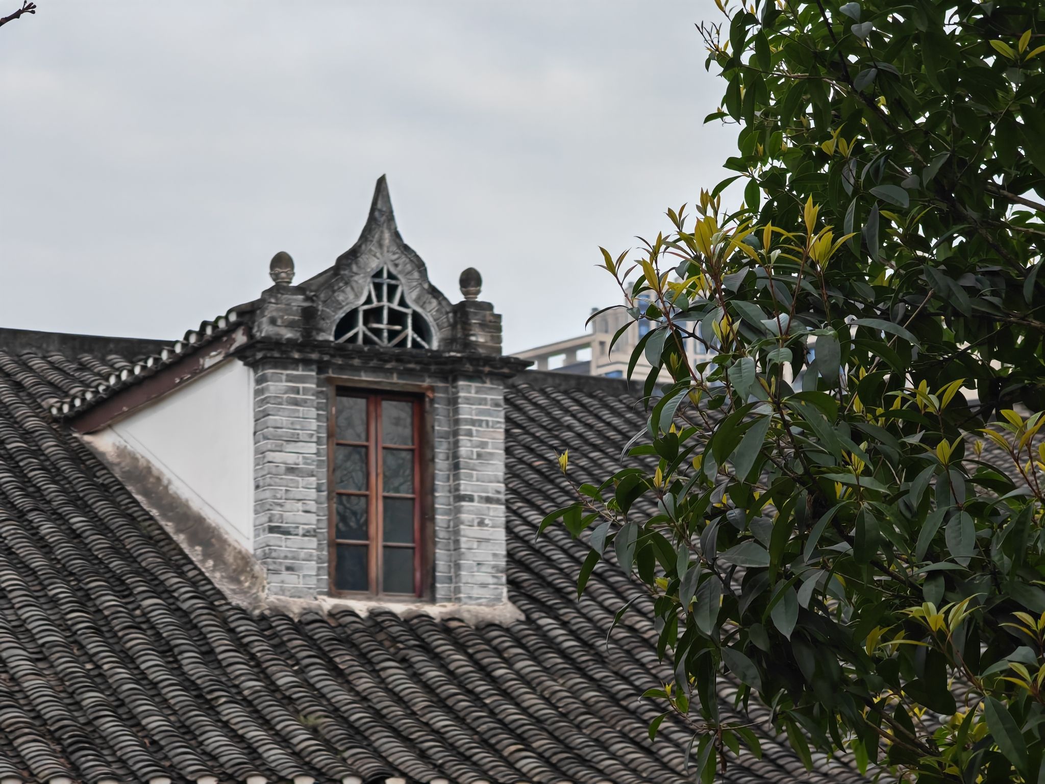 举人楼旅行图片 3