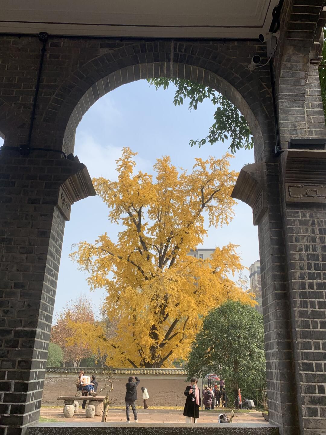 举人楼旅行图片 2