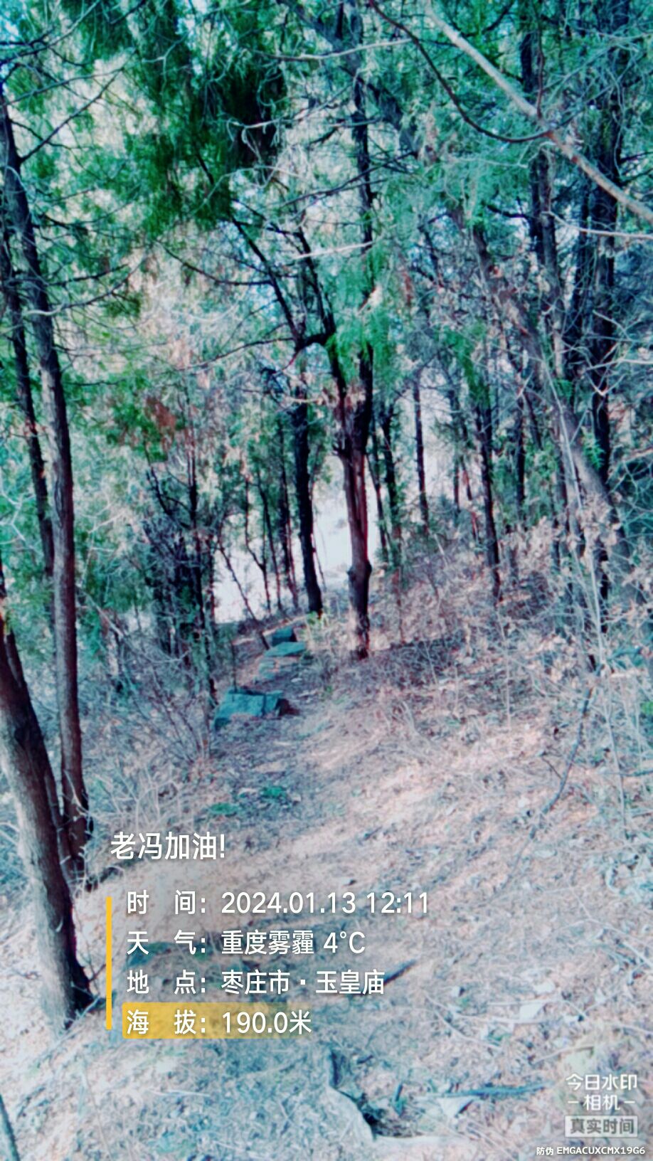 玉皇庙旅行图片 1