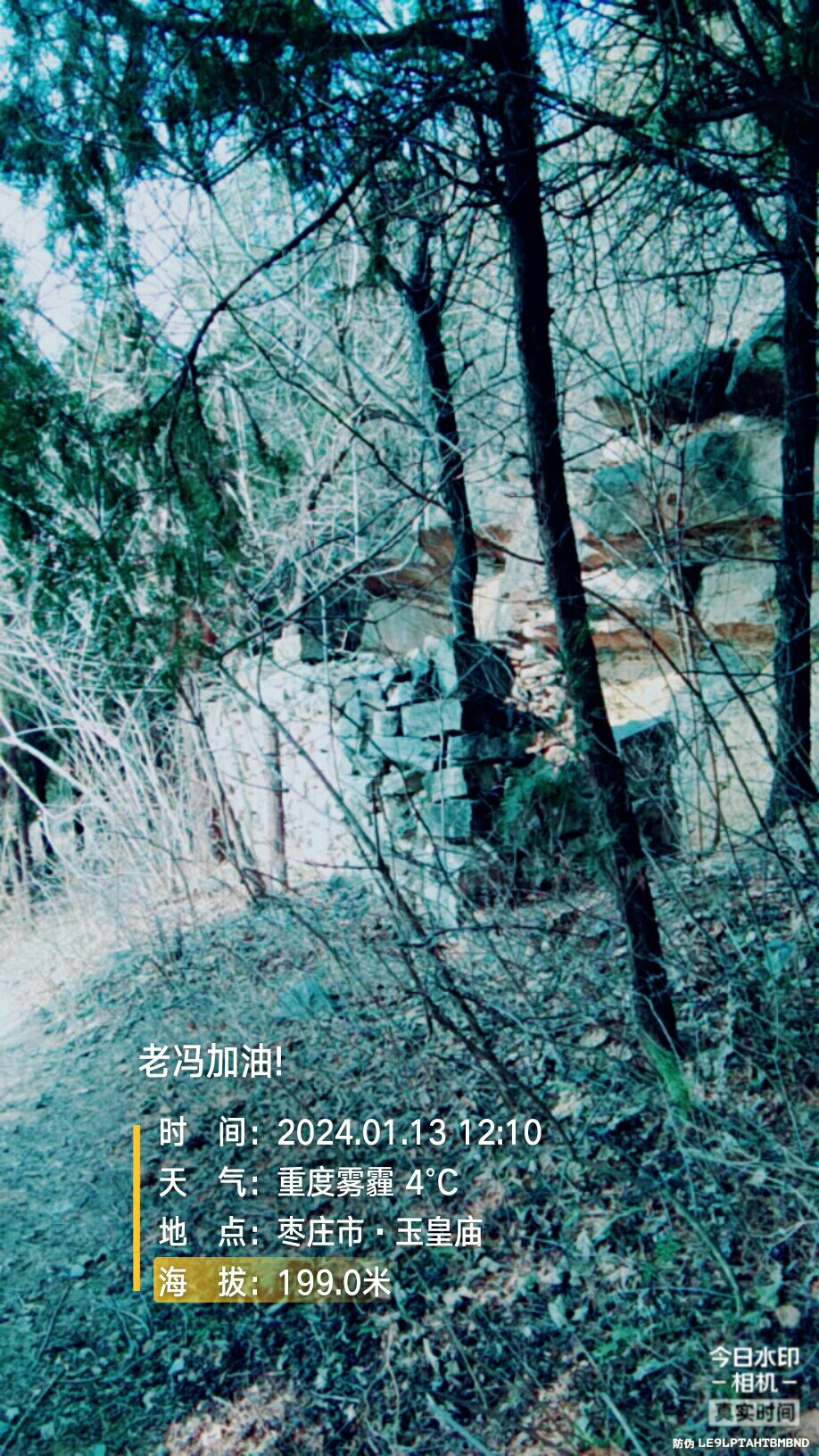 玉皇庙旅行图片 2