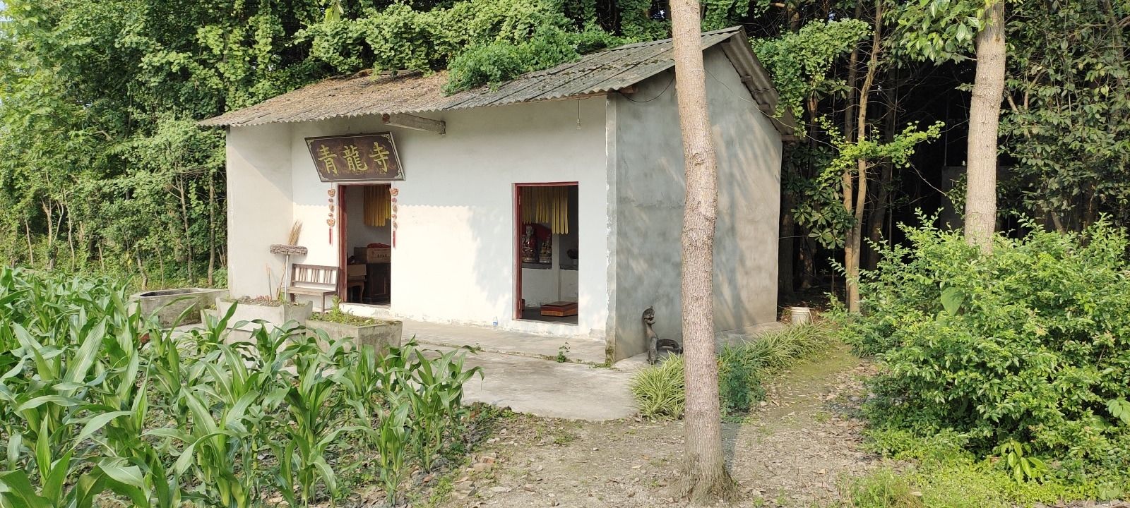 龙口堰青龙寺实景照片