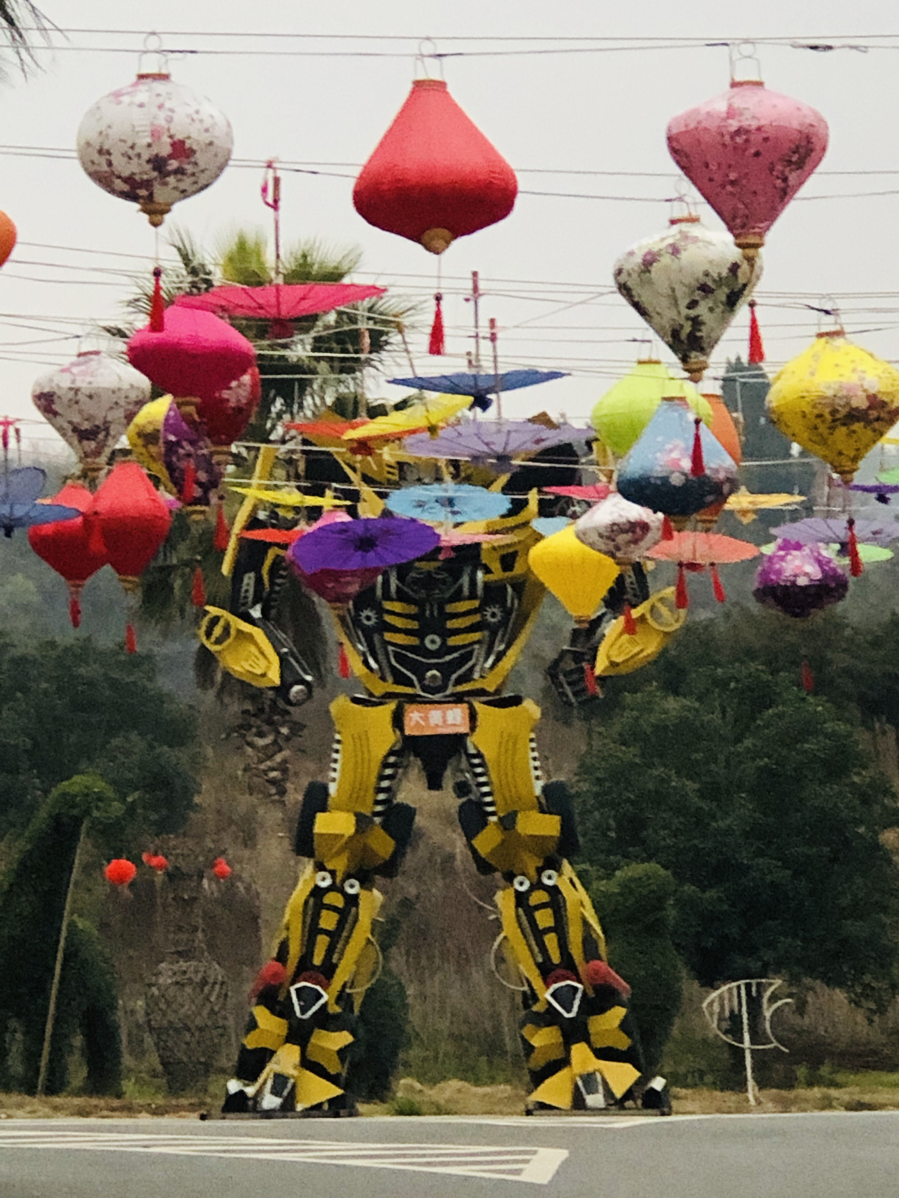 紫薇天下旅行图片 2