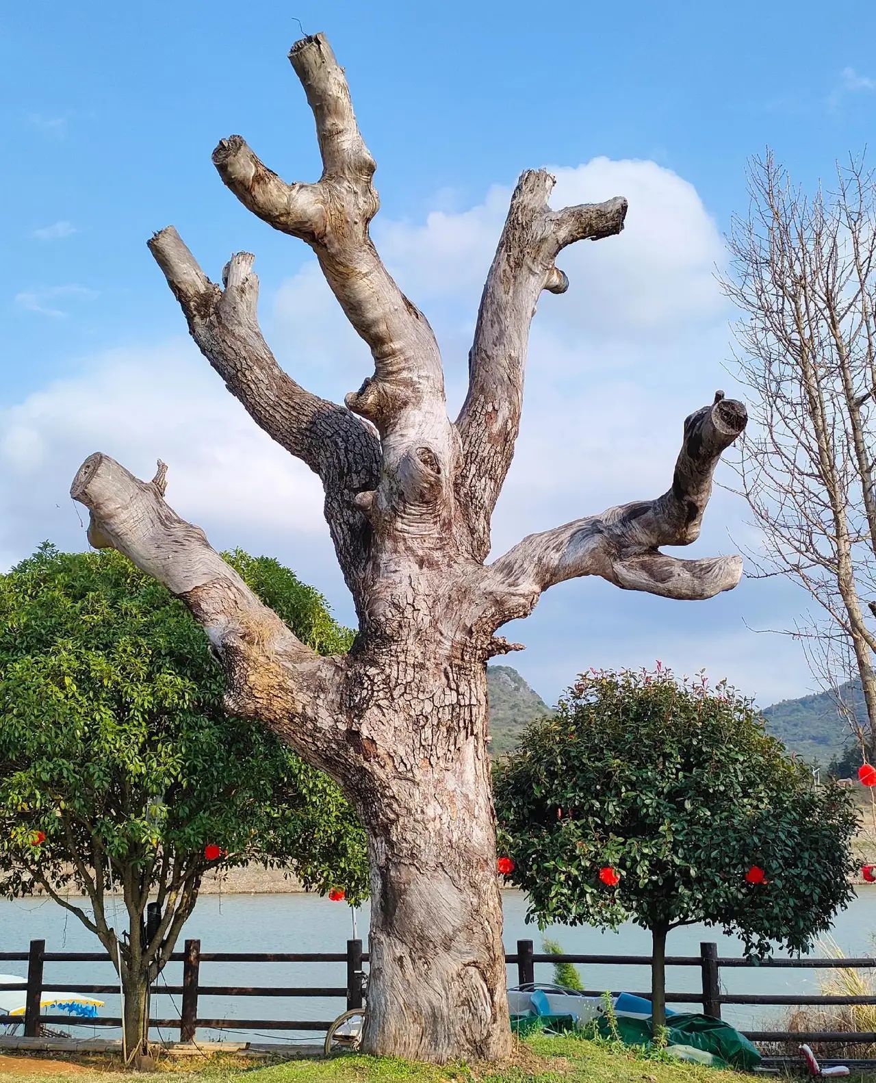 紫薇天下旅行图片 3