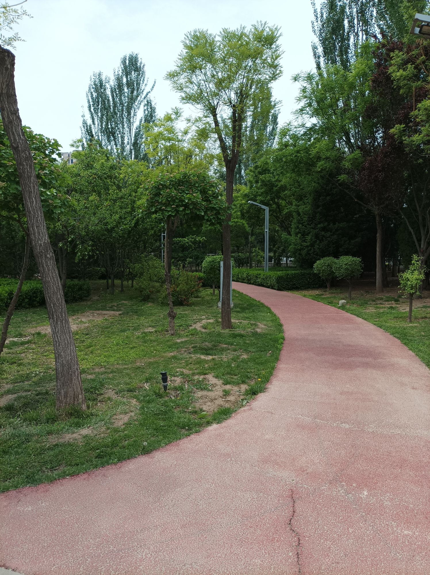 李家庄公园旅行图片 2