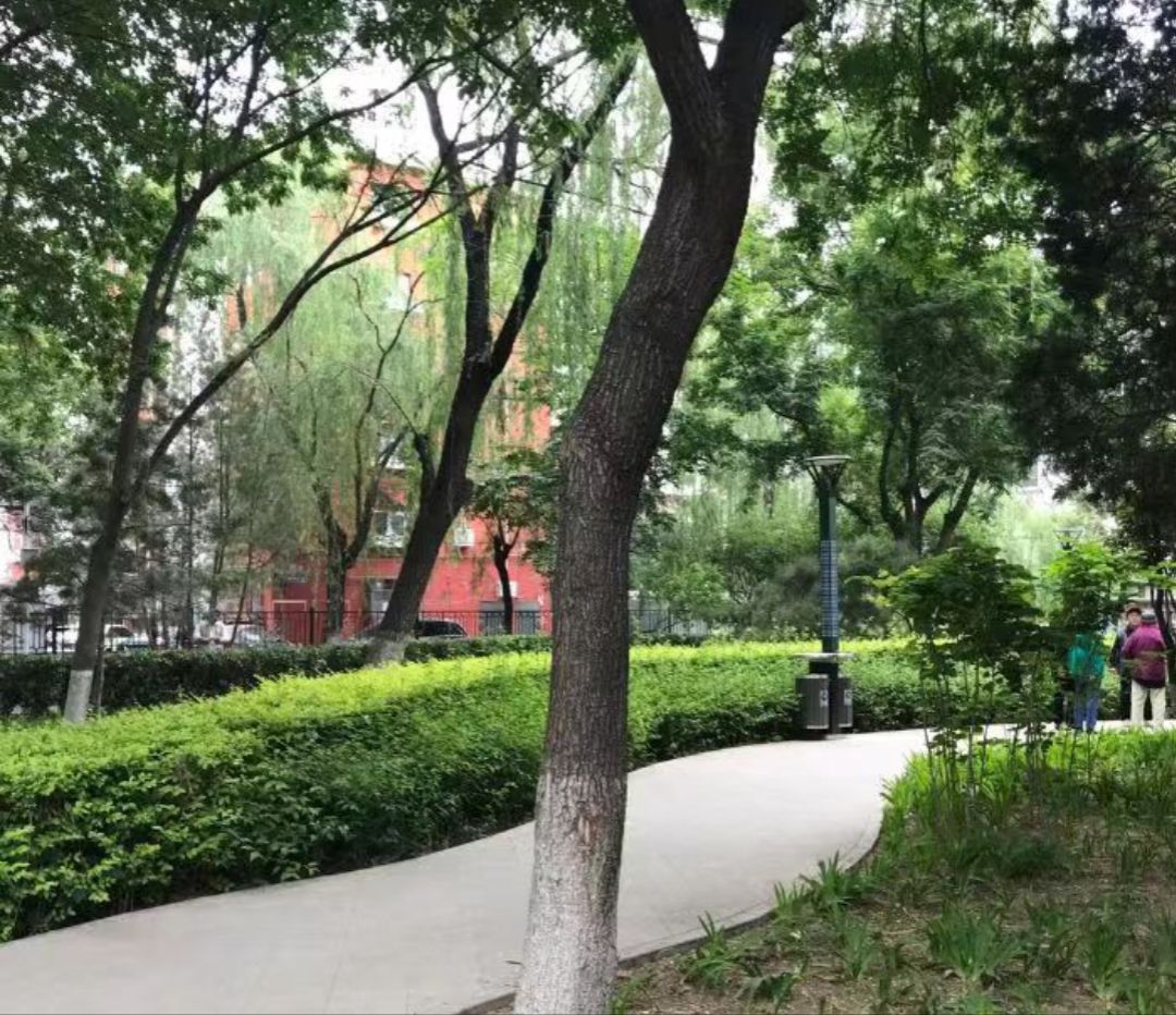 知春公园旅行图片 3