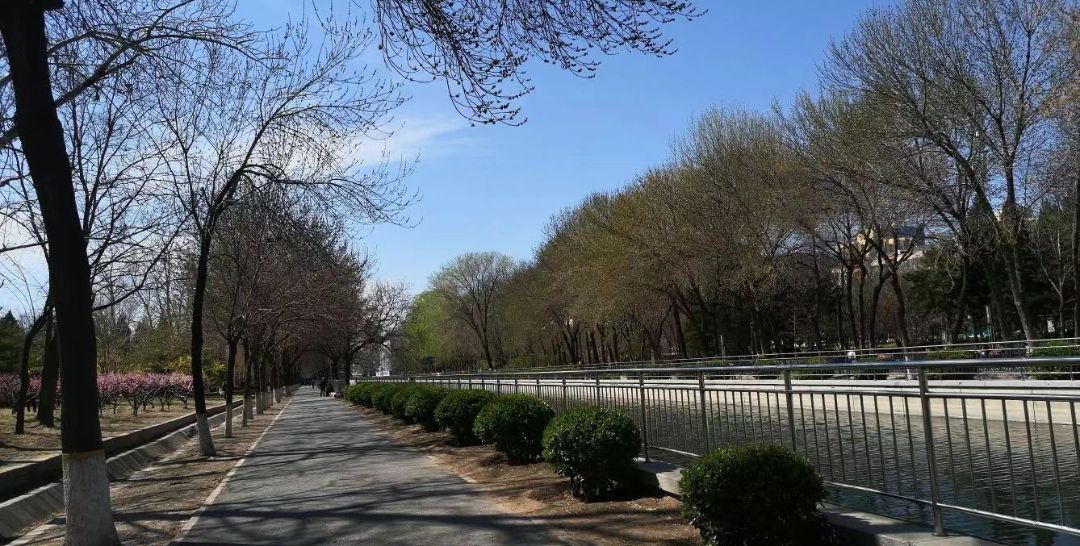 知春公园旅行图片 2