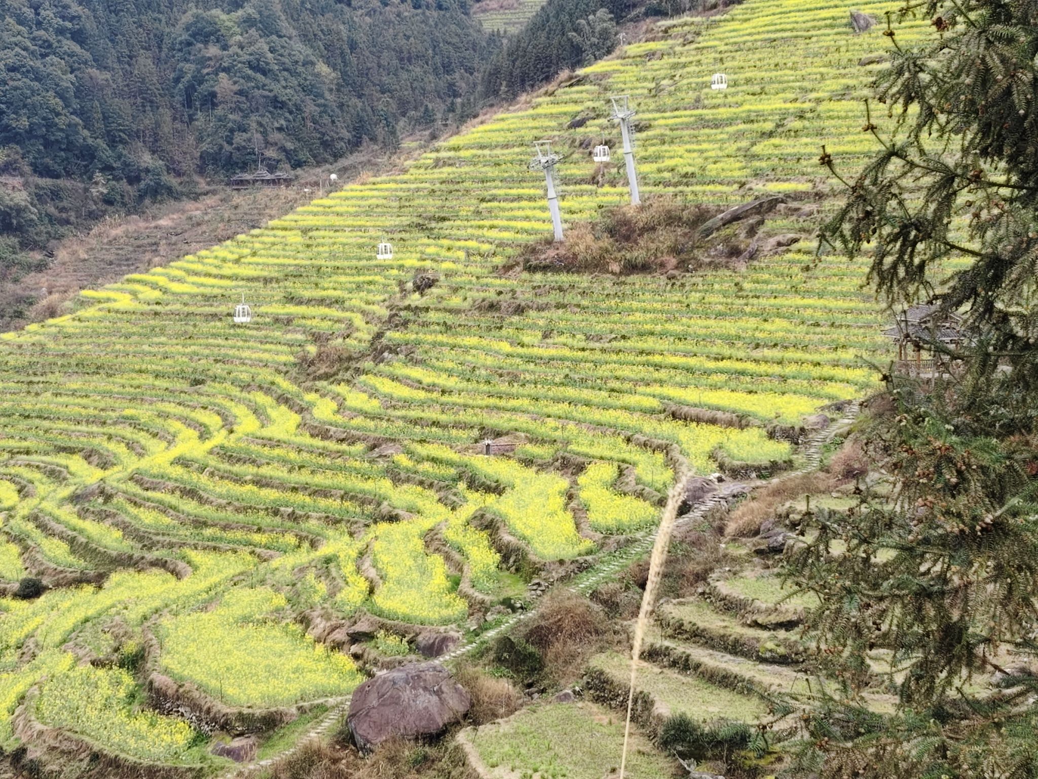 布尼梯田加乌瀑布景区旅行图片 2