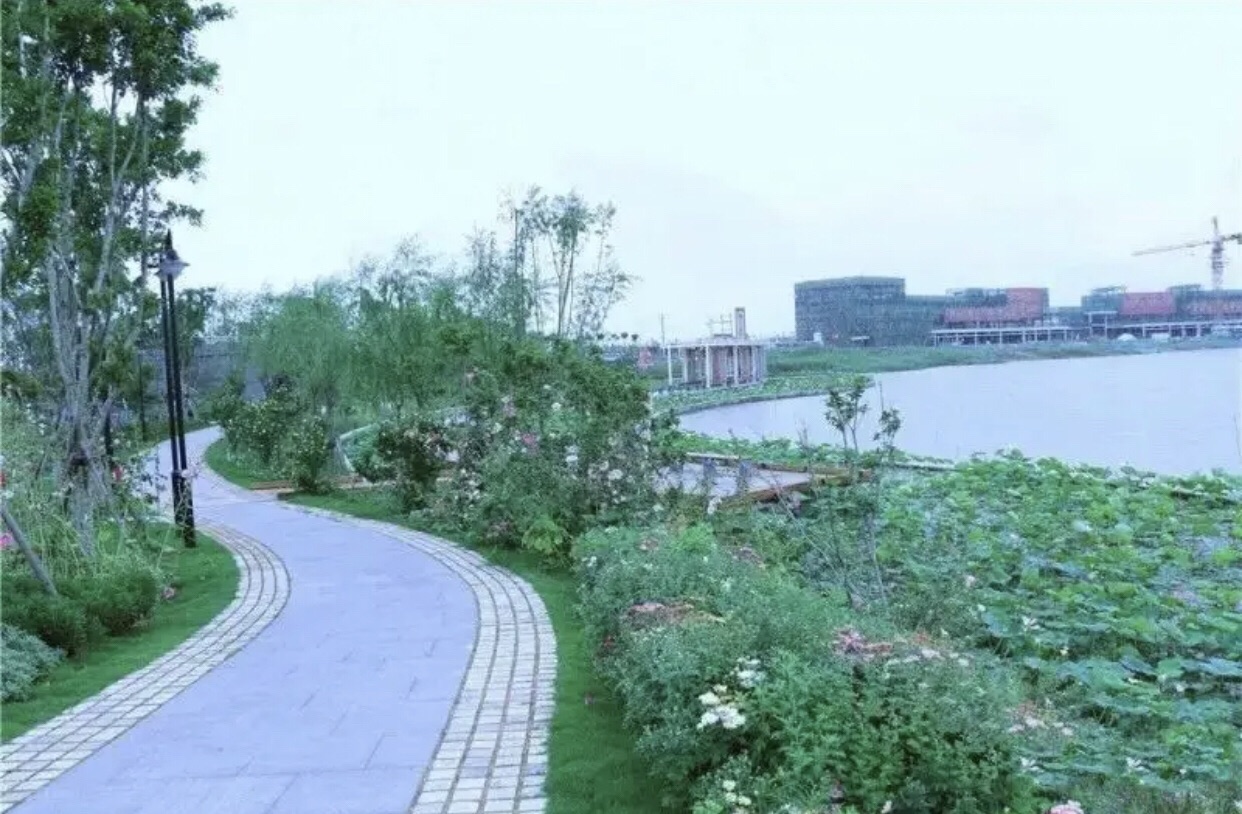 月湖公园旅行图片 1