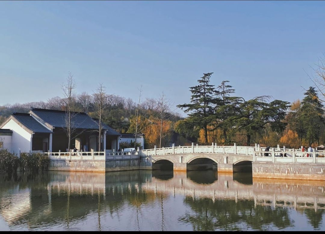 南京太仆寺旅行图片 2