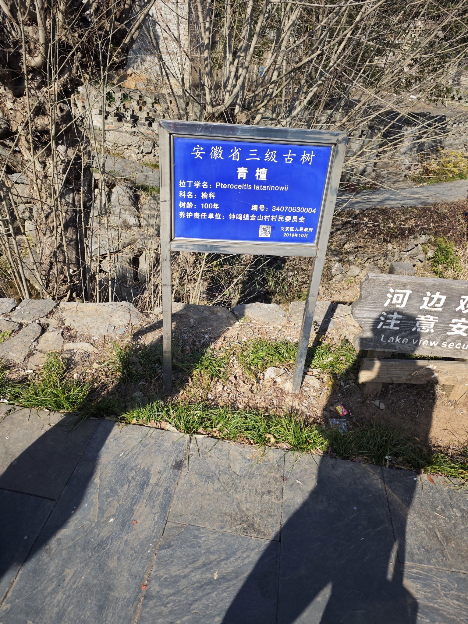 龙潭肖村旅行图片 1