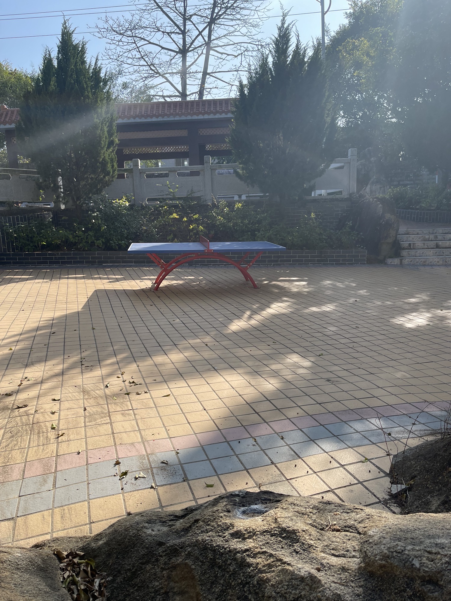 前吴文化公园旅行图片 3