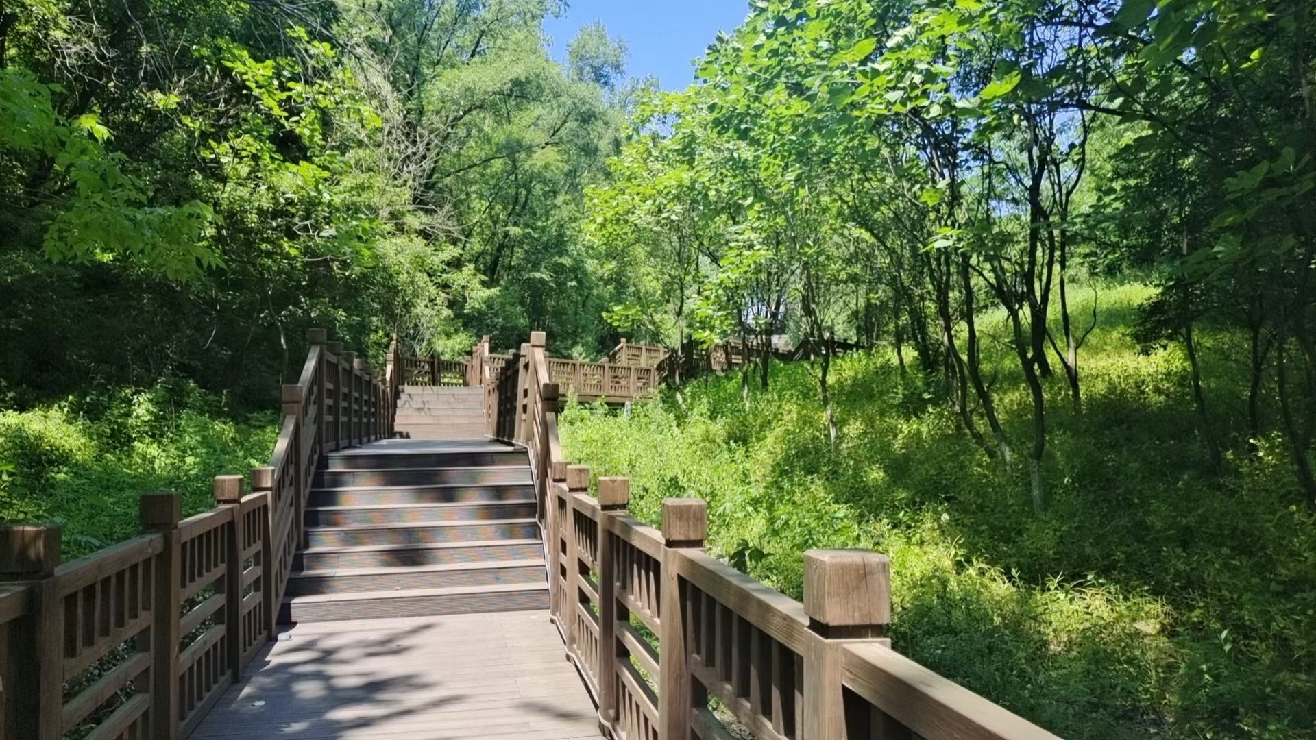 东山公园旅行图片 1