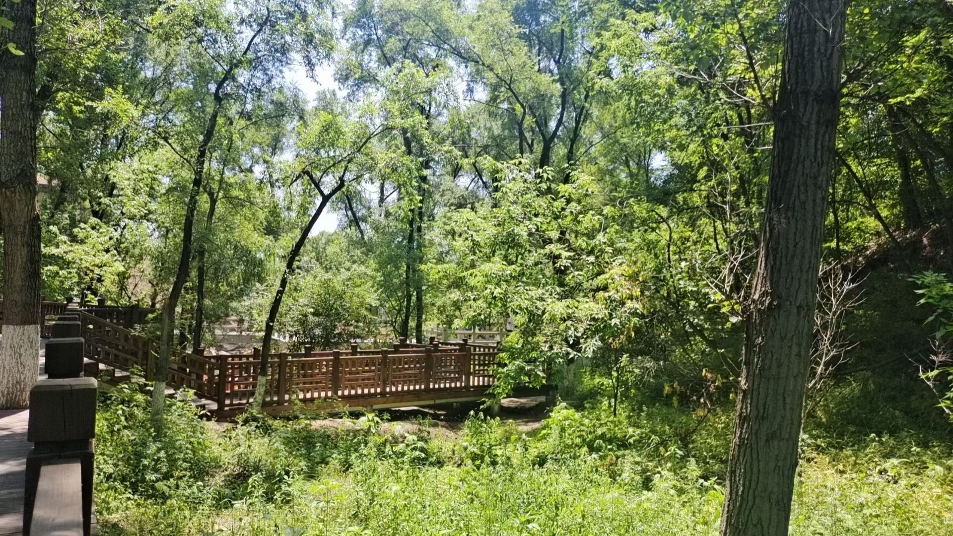 东山公园旅行图片 2
